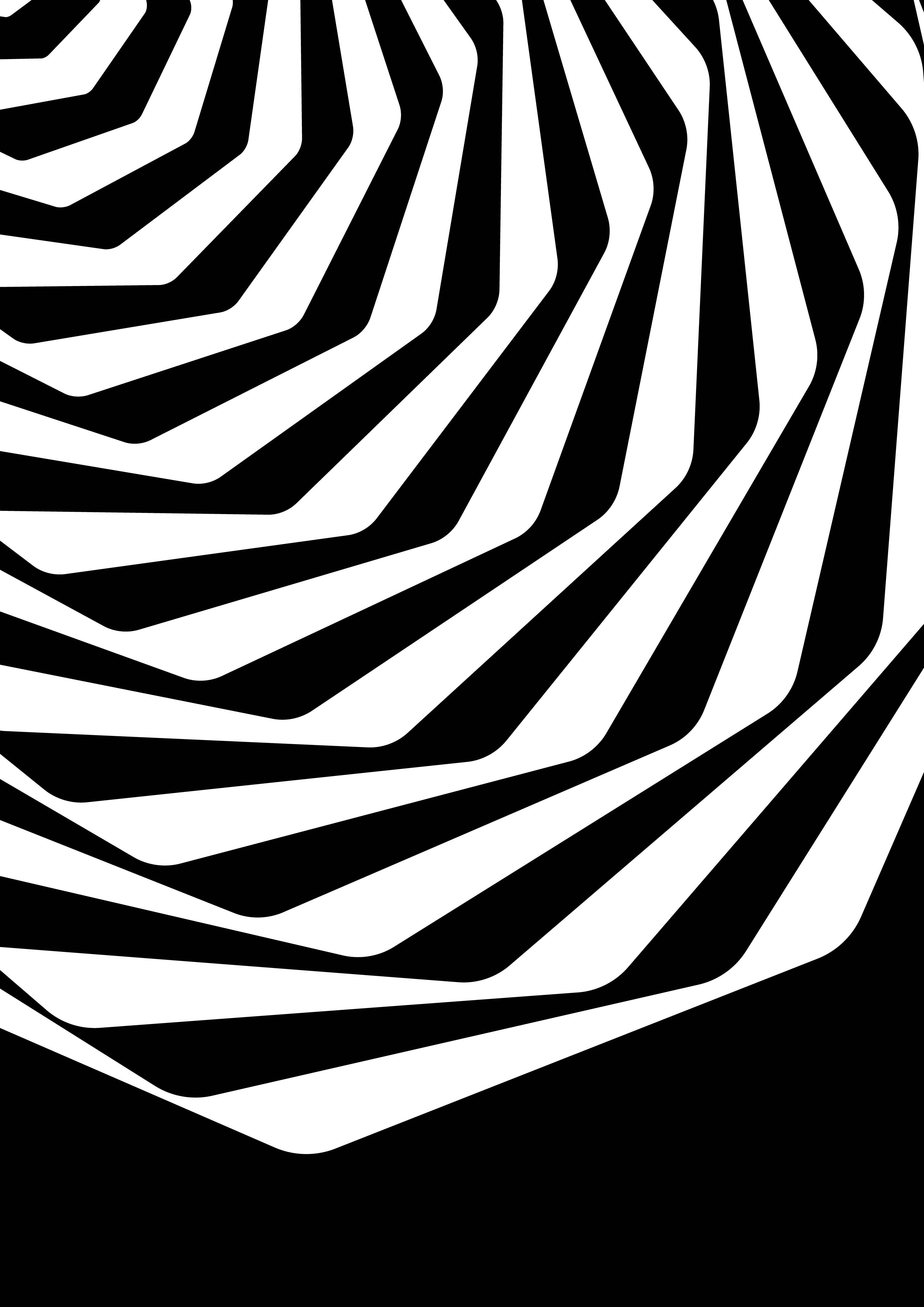 Große Wandbilder-Schwarz-Weiß-Zeichnung mit geometrischem Muster