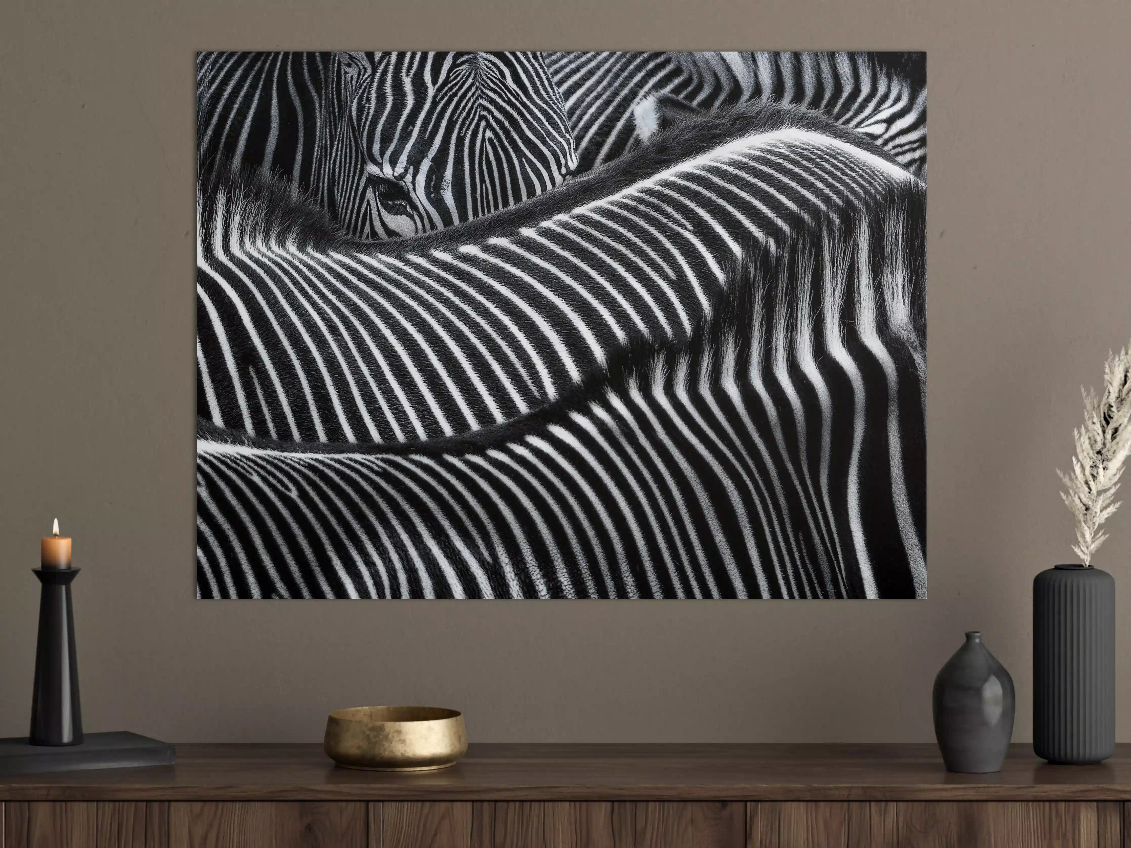 Große Wandbilder - Schwarze und weiße Zebra-Mustertextur