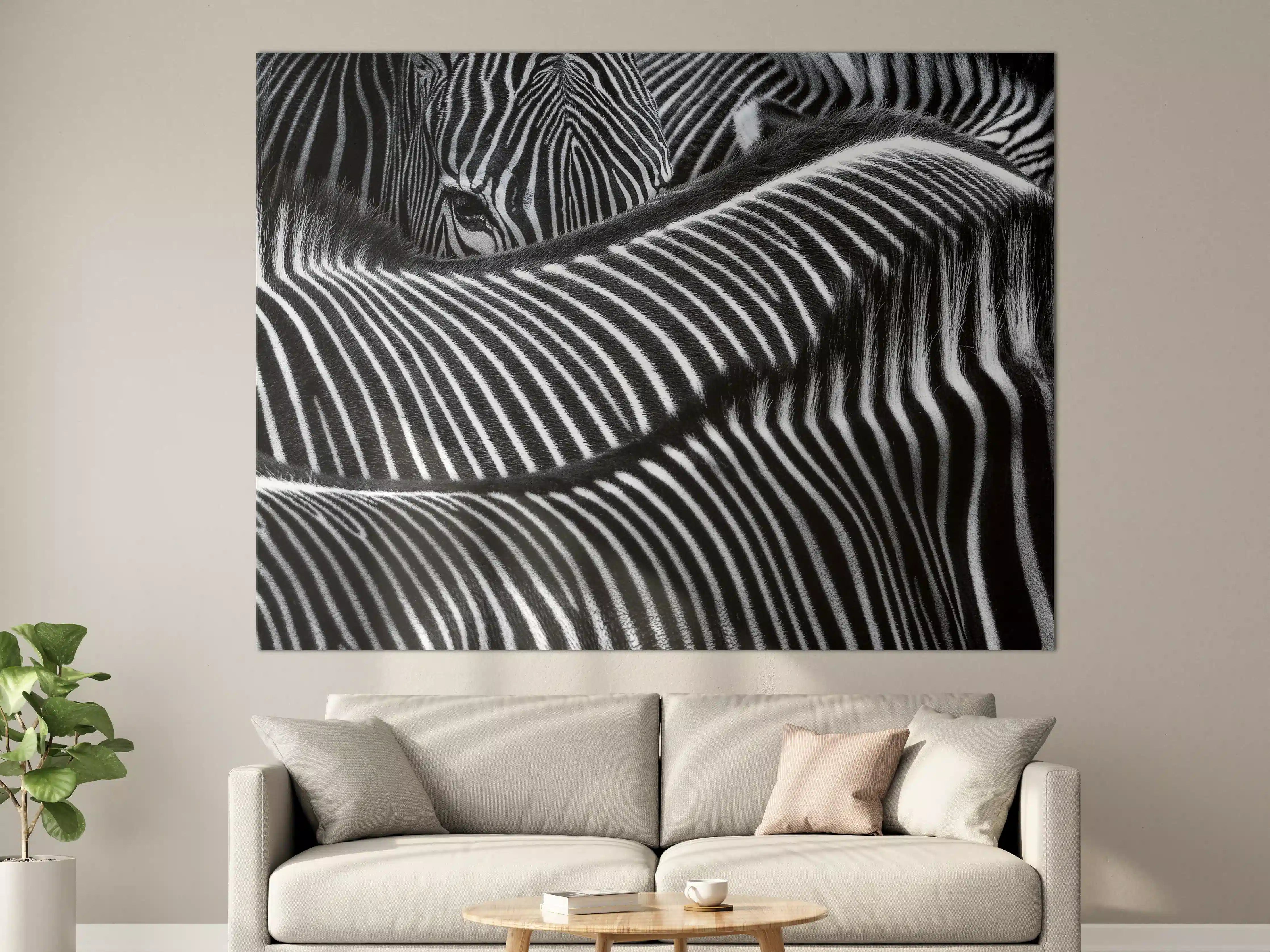 Große Wandbilder - Schwarze und weiße Zebra-Mustertextur