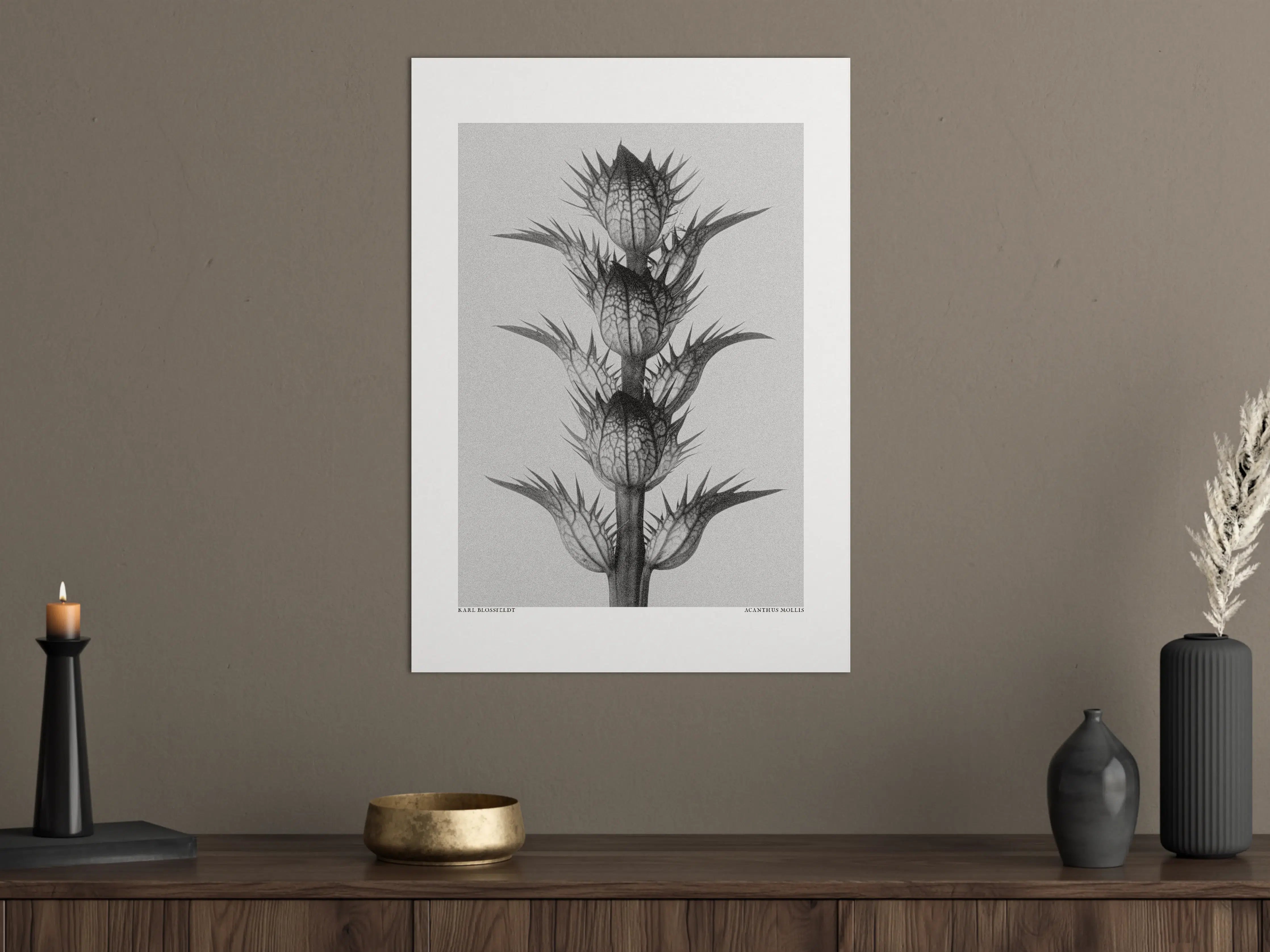 Große Wandbilder - Schwarzweiß-Bild einer Distel mit spitzen Blättern