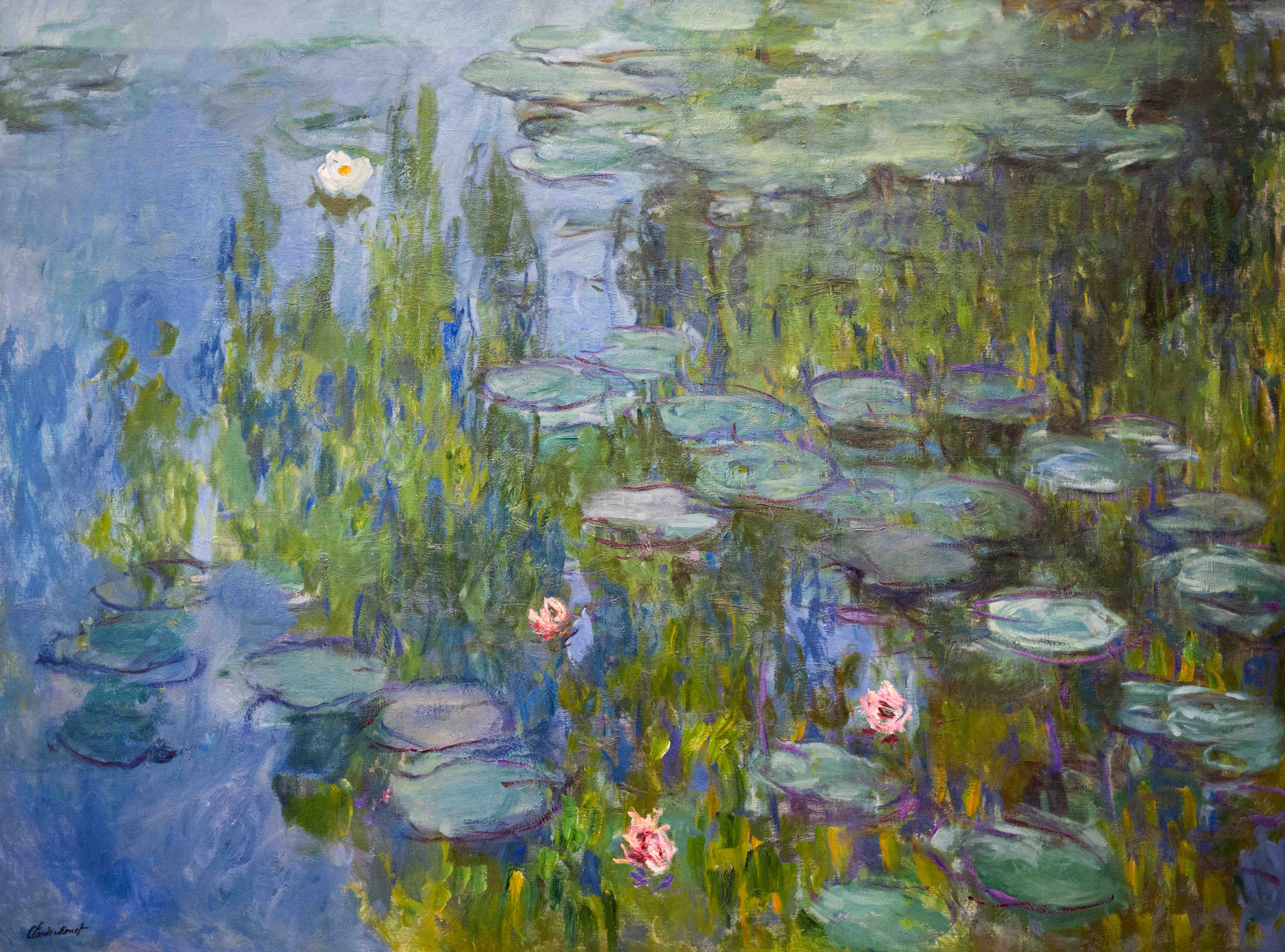 Große Wandbilder-Seerosen im Wasser mit natürlicher Farbpalette