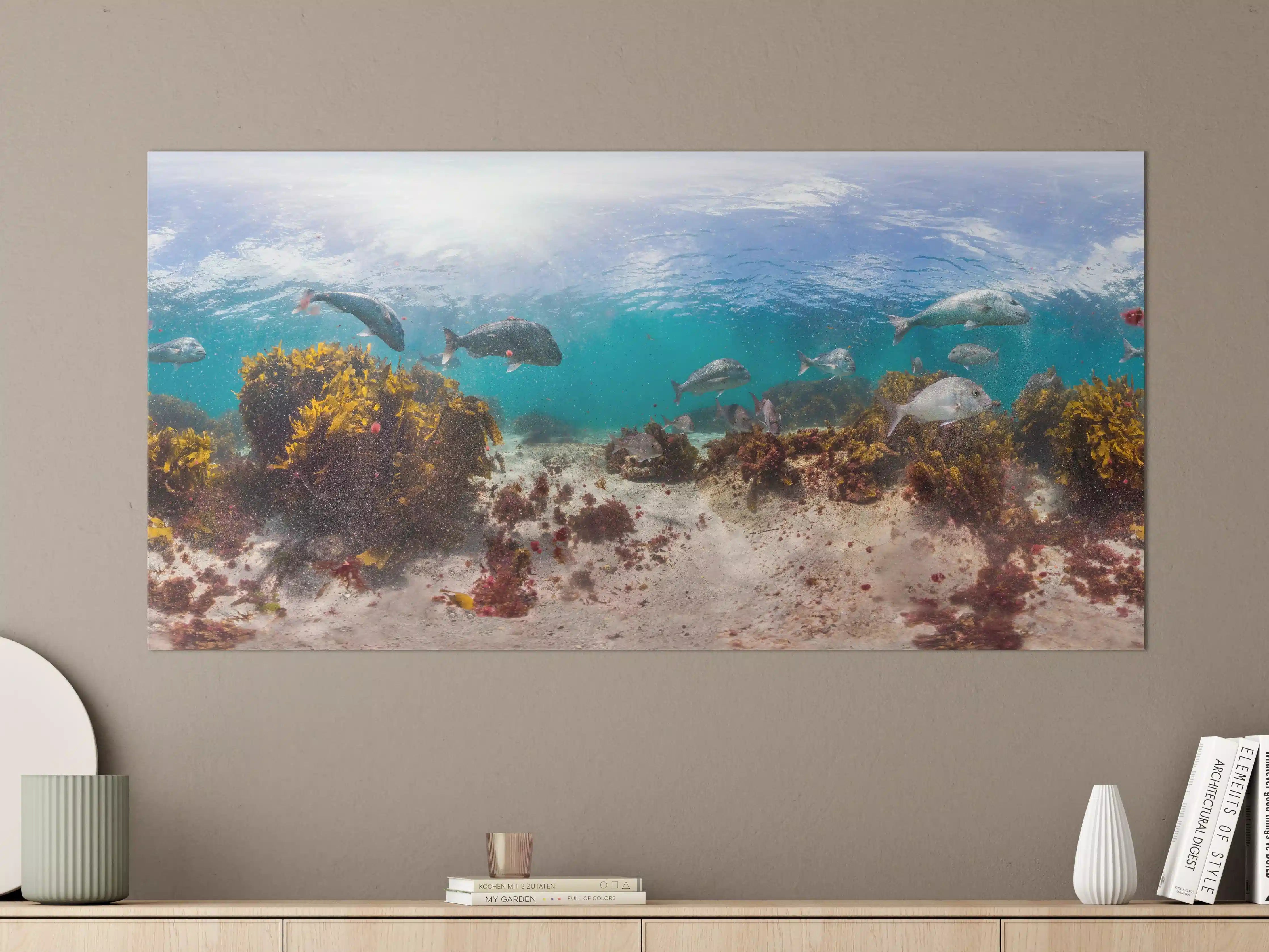 Große Wandbilder - Seetang und Fisch in Neuseeland