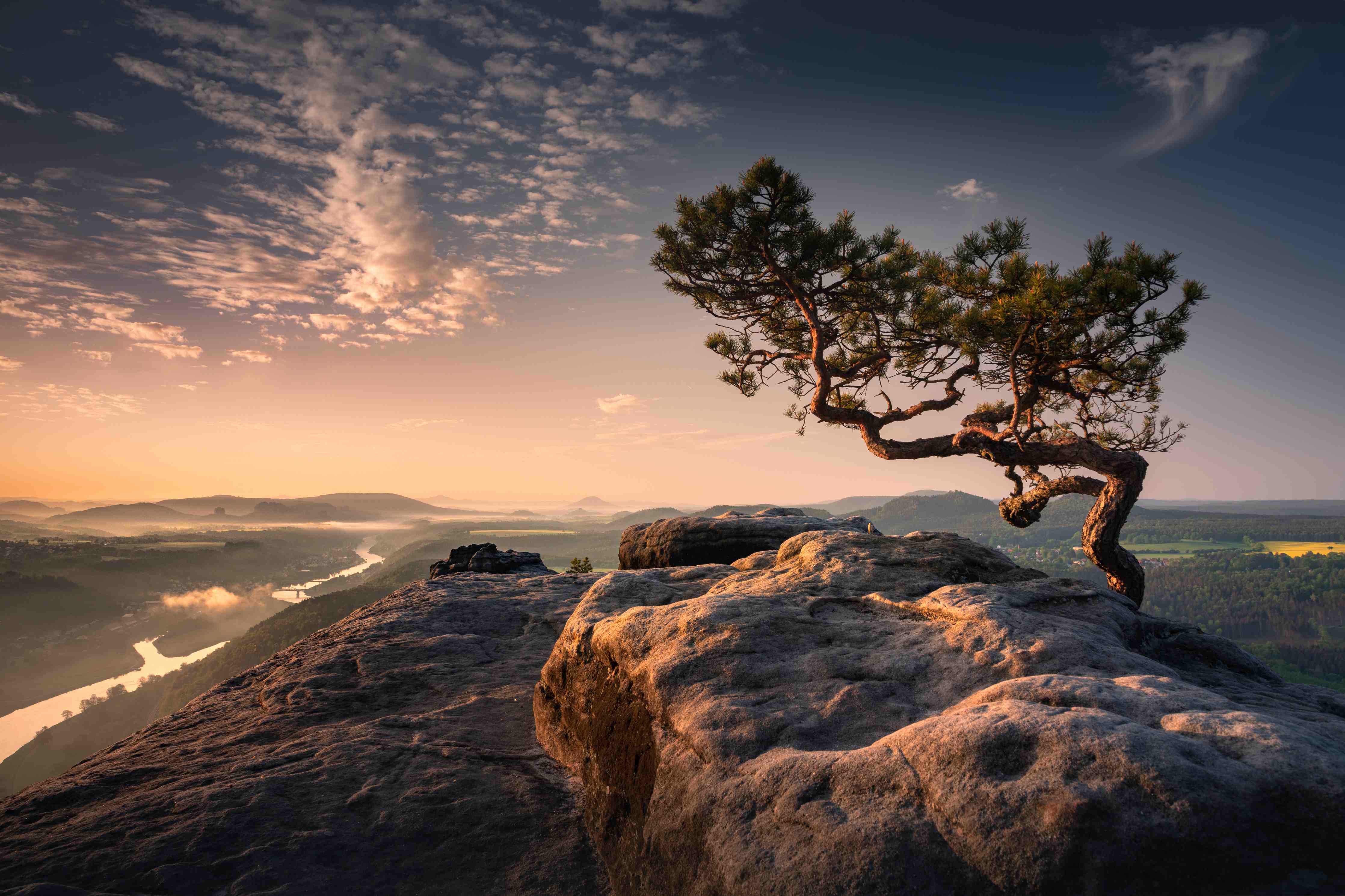 Große Wandbilder-Silhouettenbaum bei Sonnenuntergang