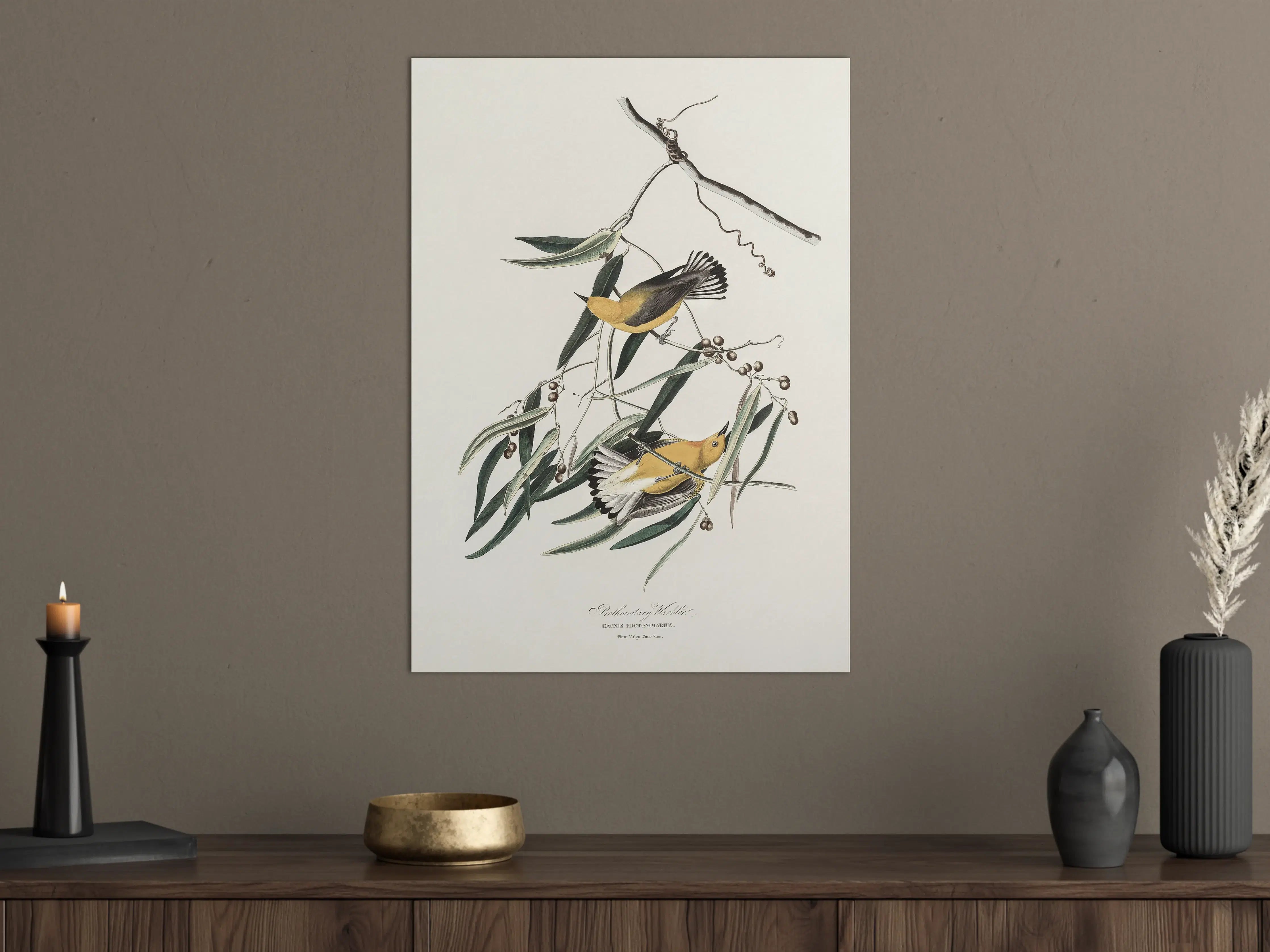 Große Wandbilder - Singvogel Portrait - John James Audubon