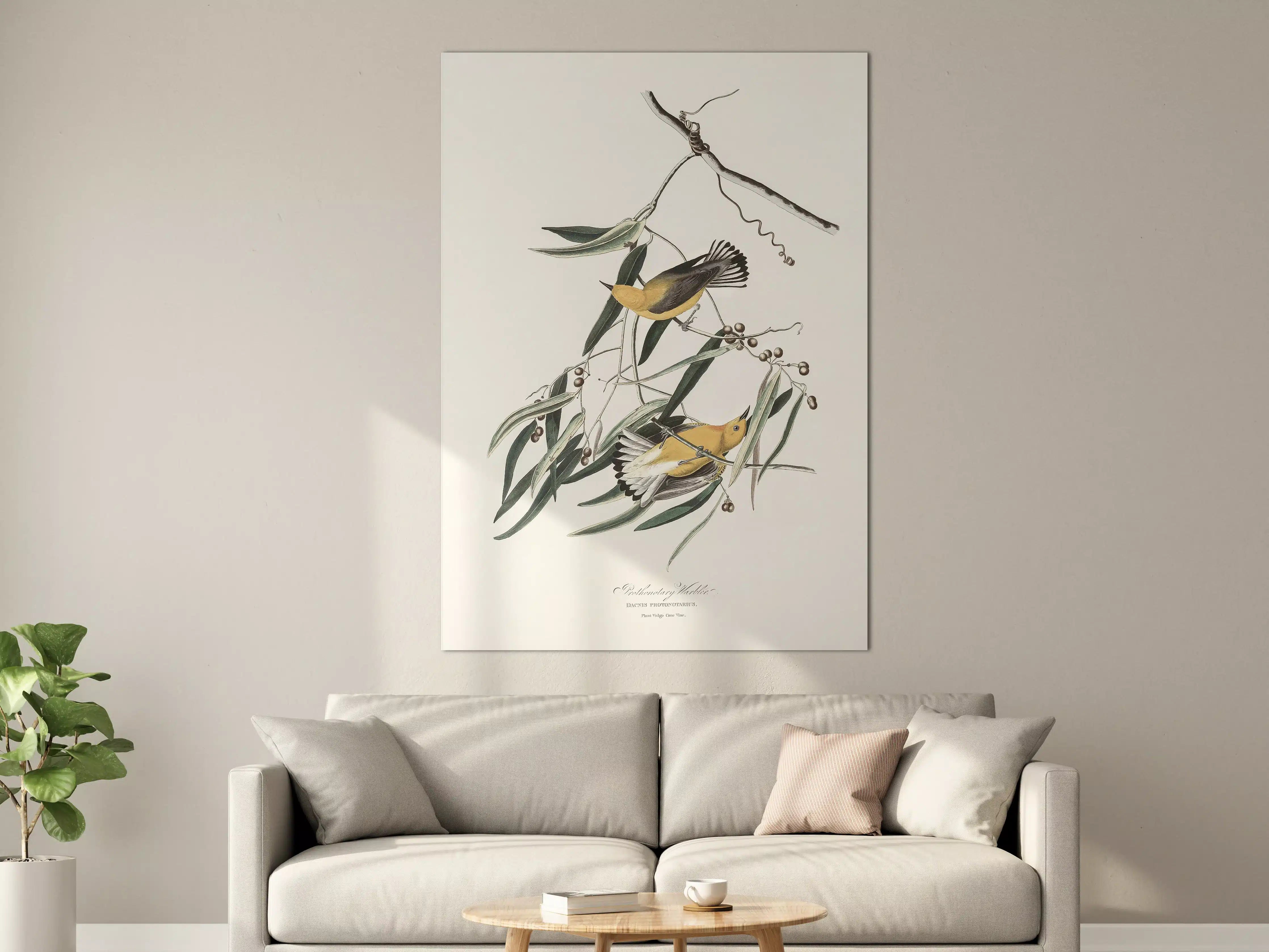 Große Wandbilder - Singvogel Portrait - John James Audubon