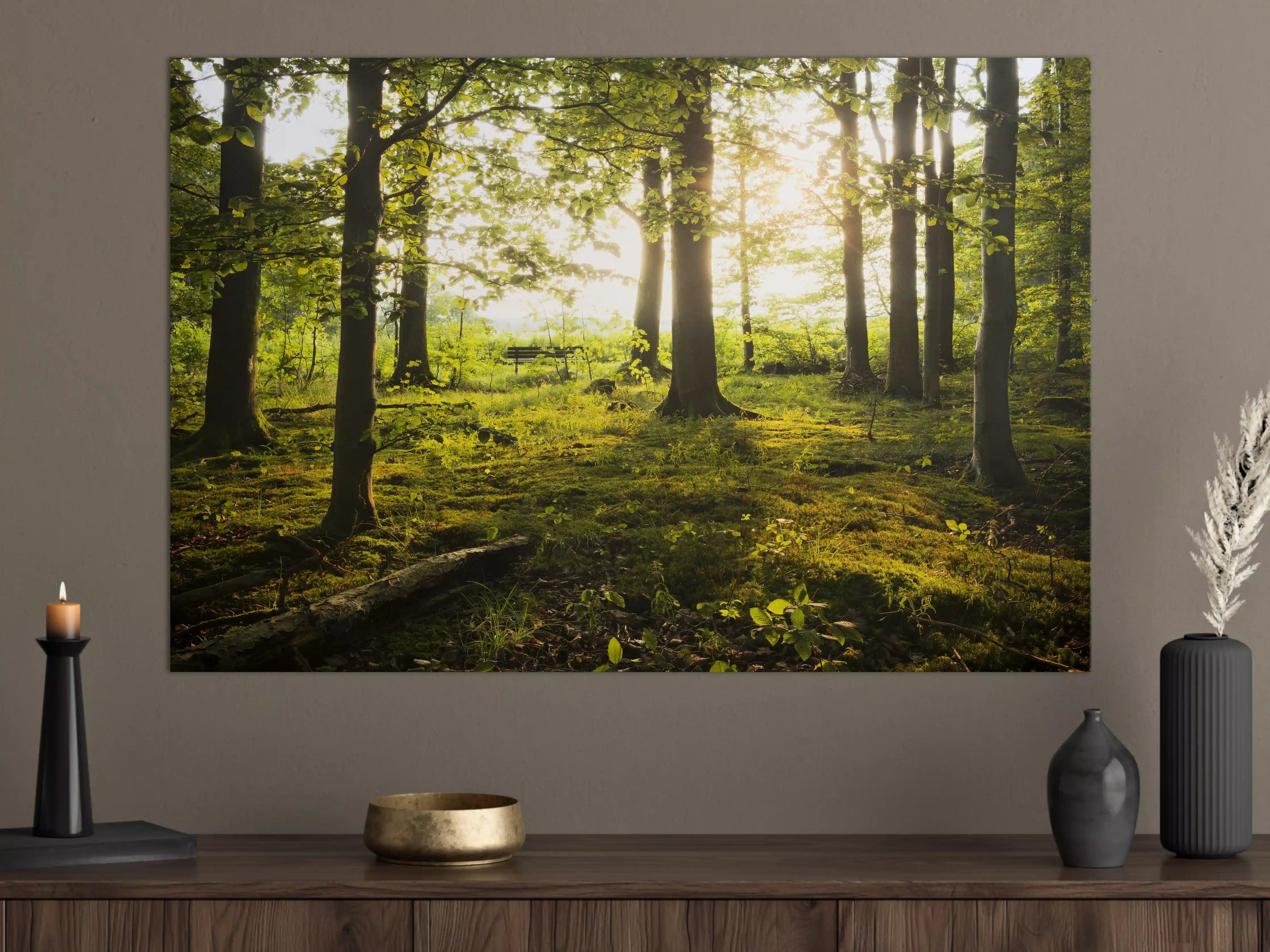 Große Wandbilder - Sommer Wald
