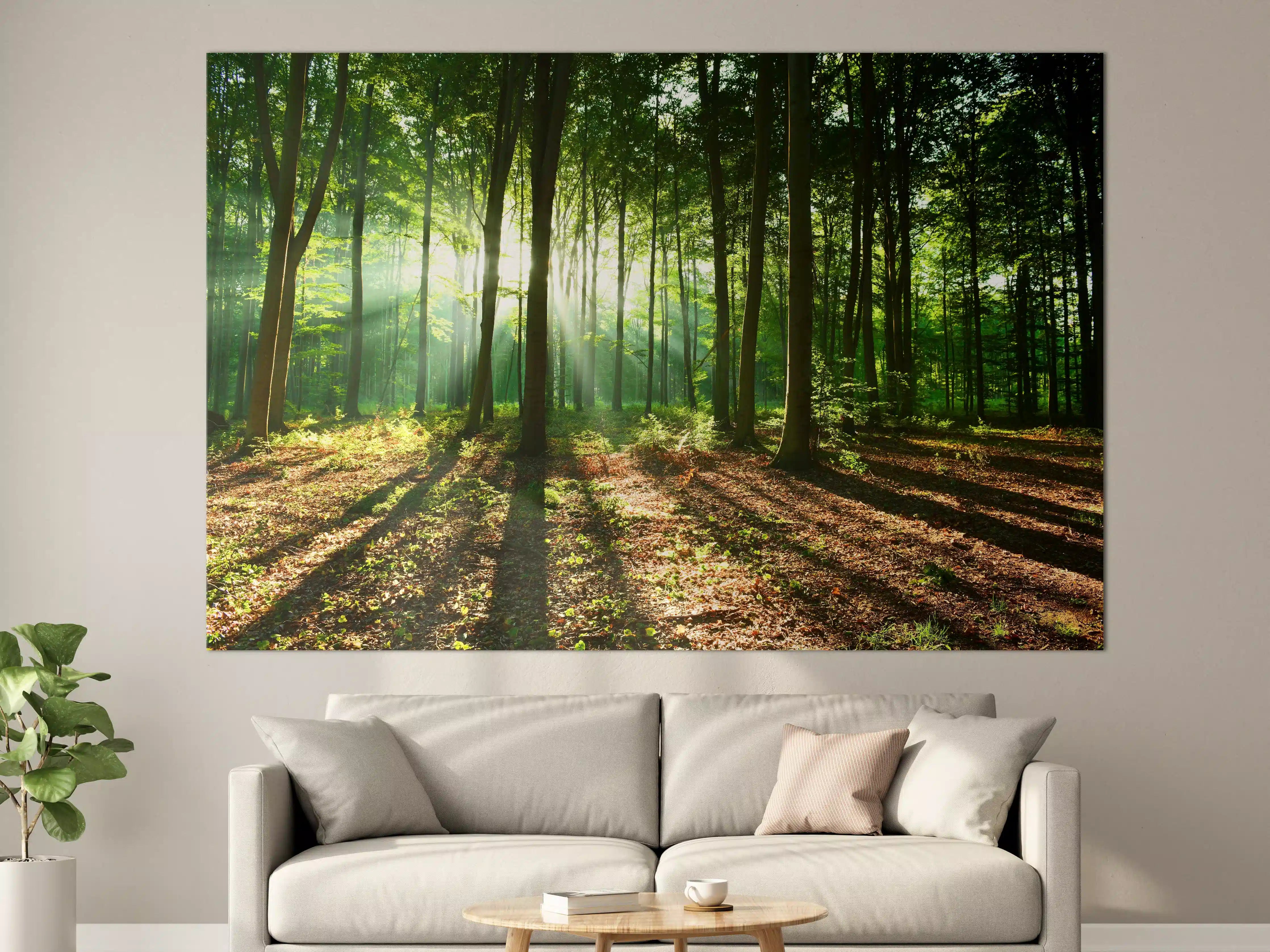 Große Wandbilder - Sonnenaufgang im Bayrischem Wald