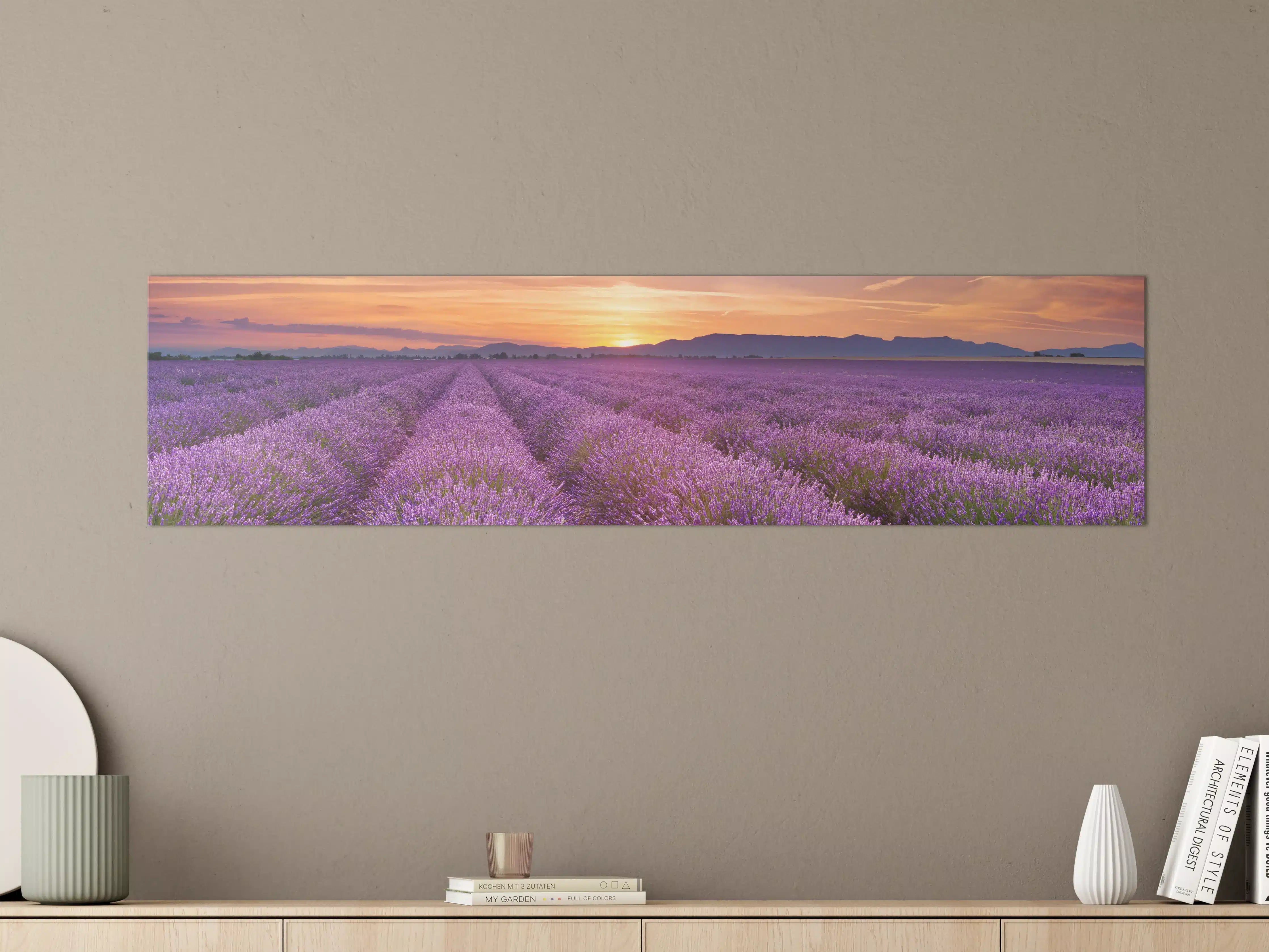 Große Wandbilder - Sonnenaufgang über Lavendelfelder - Provence