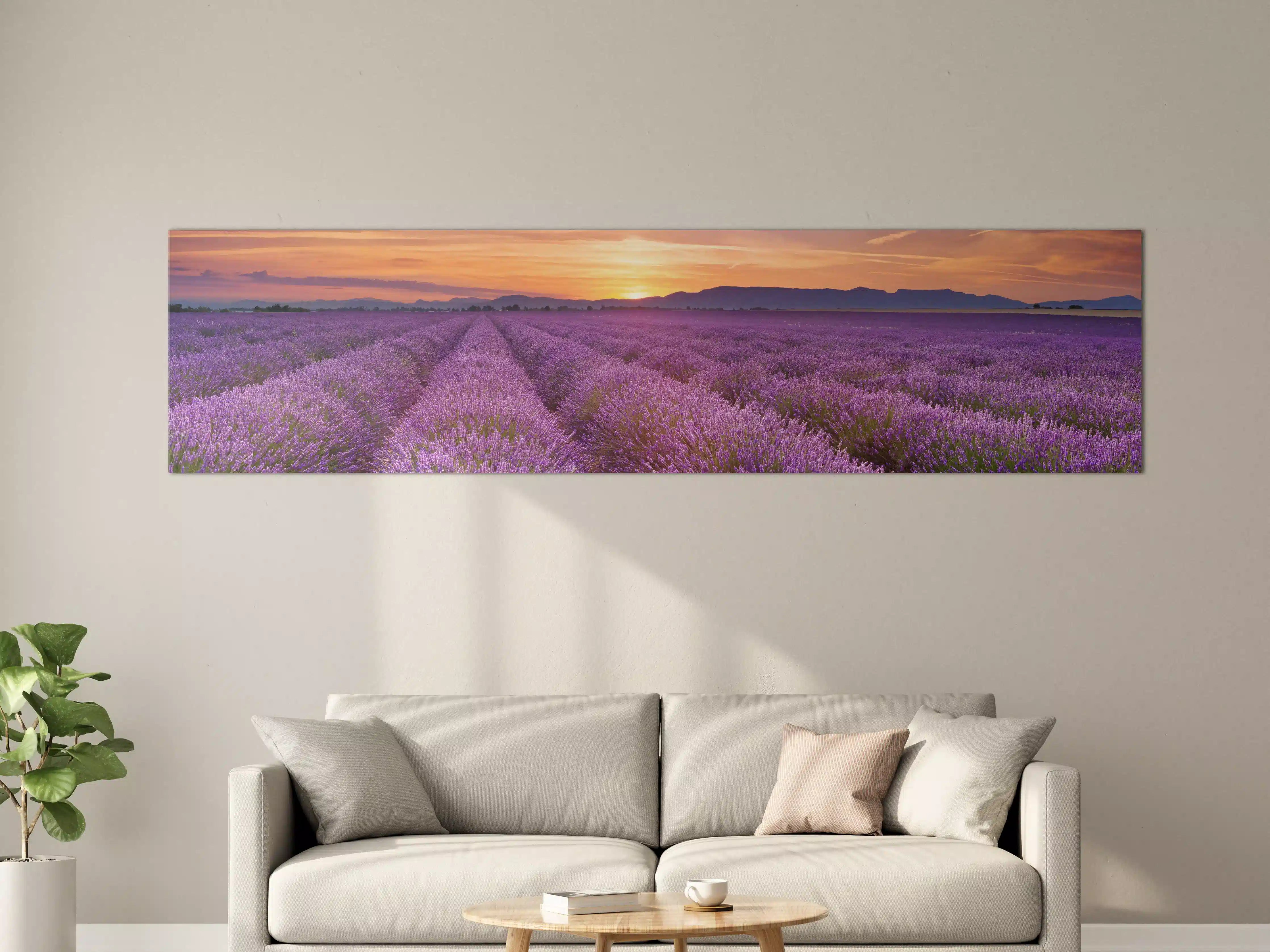 Große Wandbilder - Sonnenaufgang über Lavendelfelder - Provence