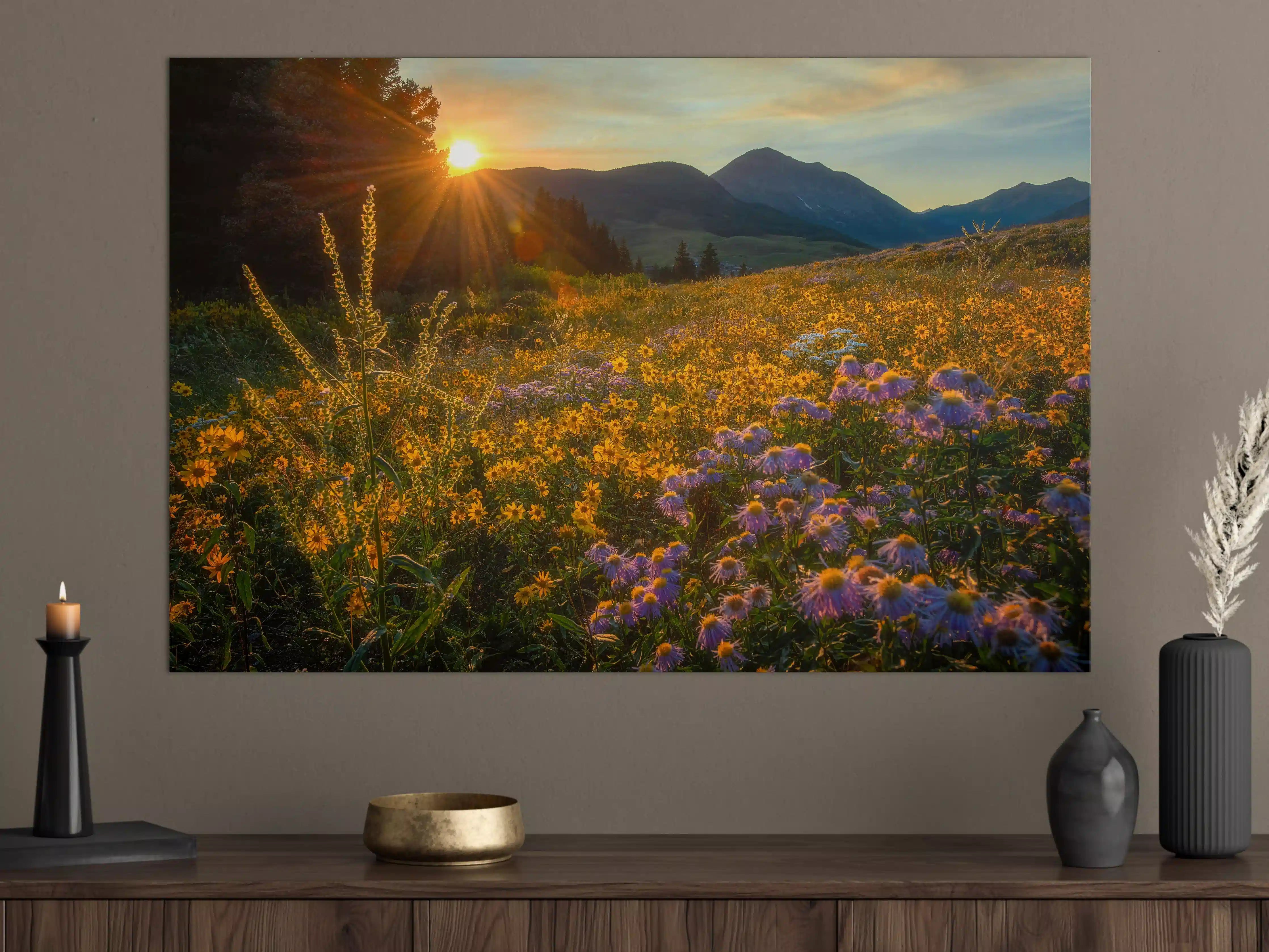 Große Wandbilder - Sonnenaufgang über einem Blumenfeld