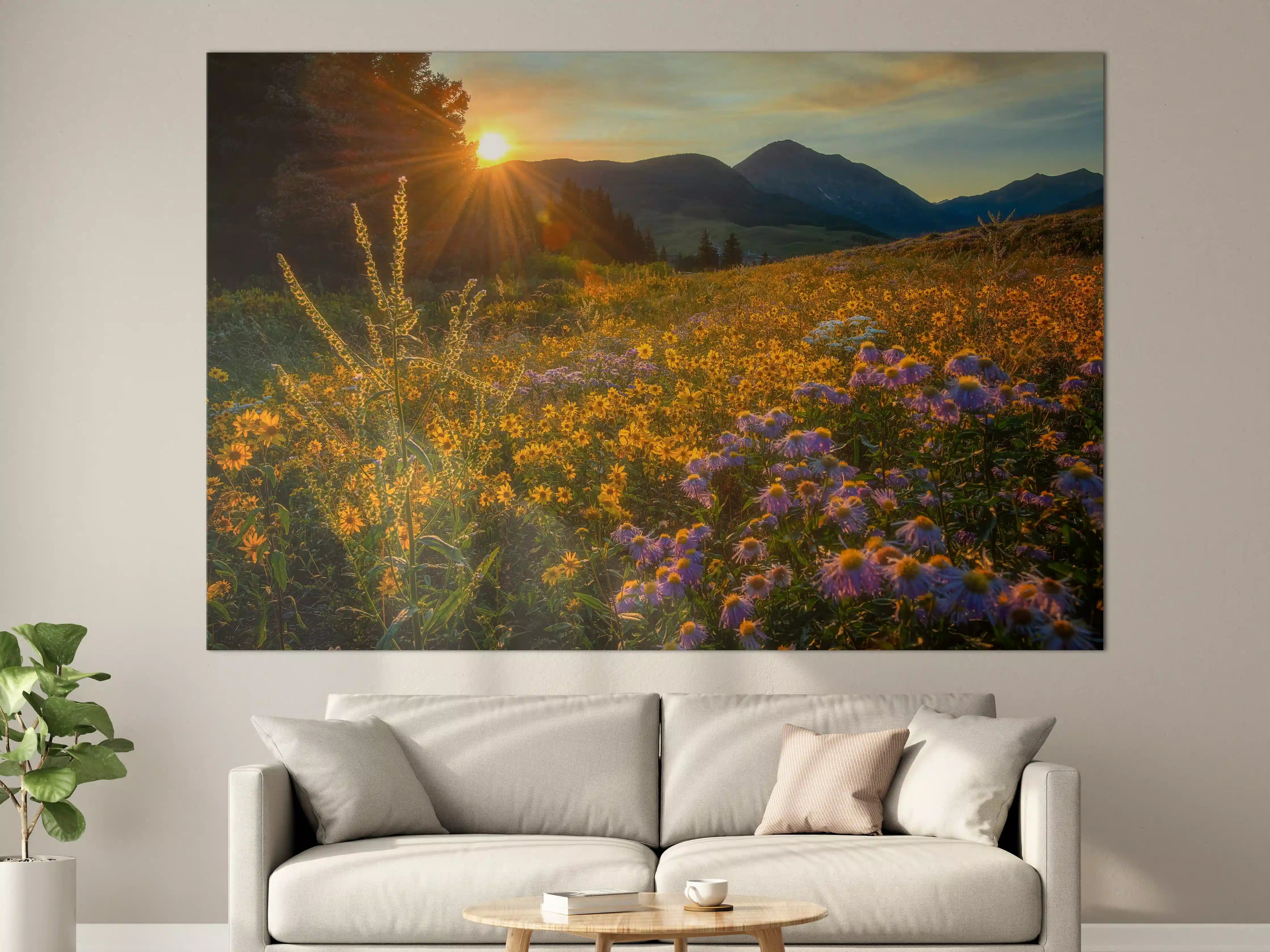 Große Wandbilder - Sonnenaufgang über einem Blumenfeld