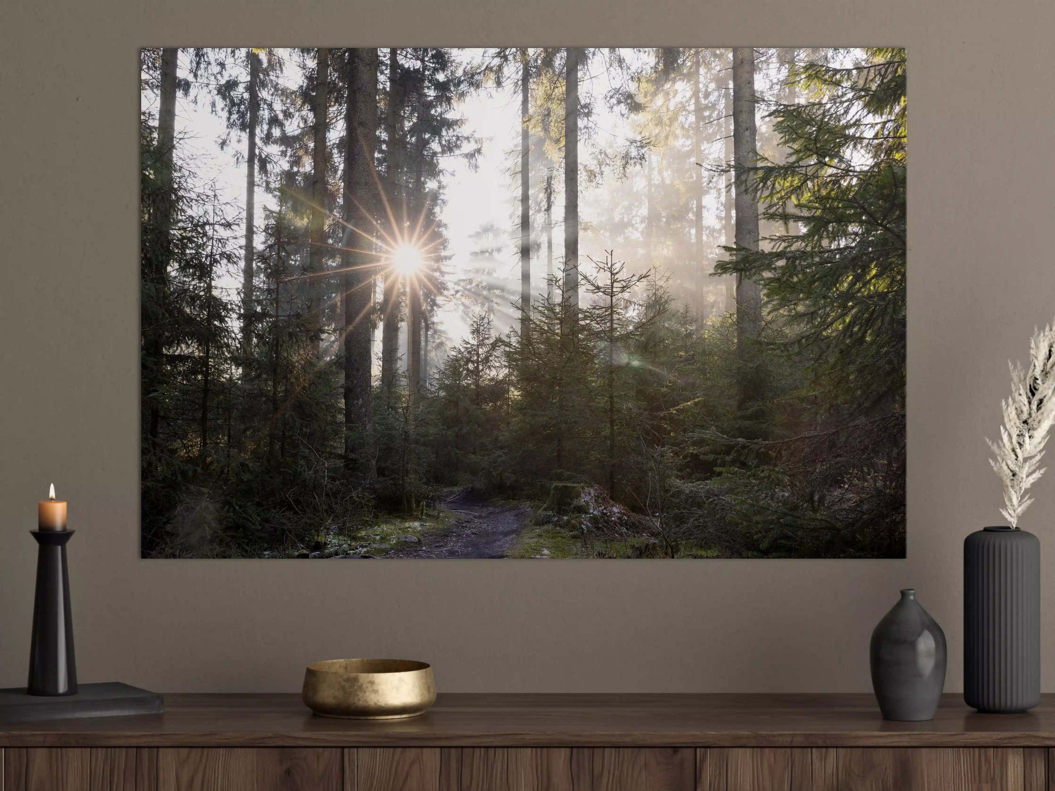 Große Wandbilder - Sonnenschein im Wald