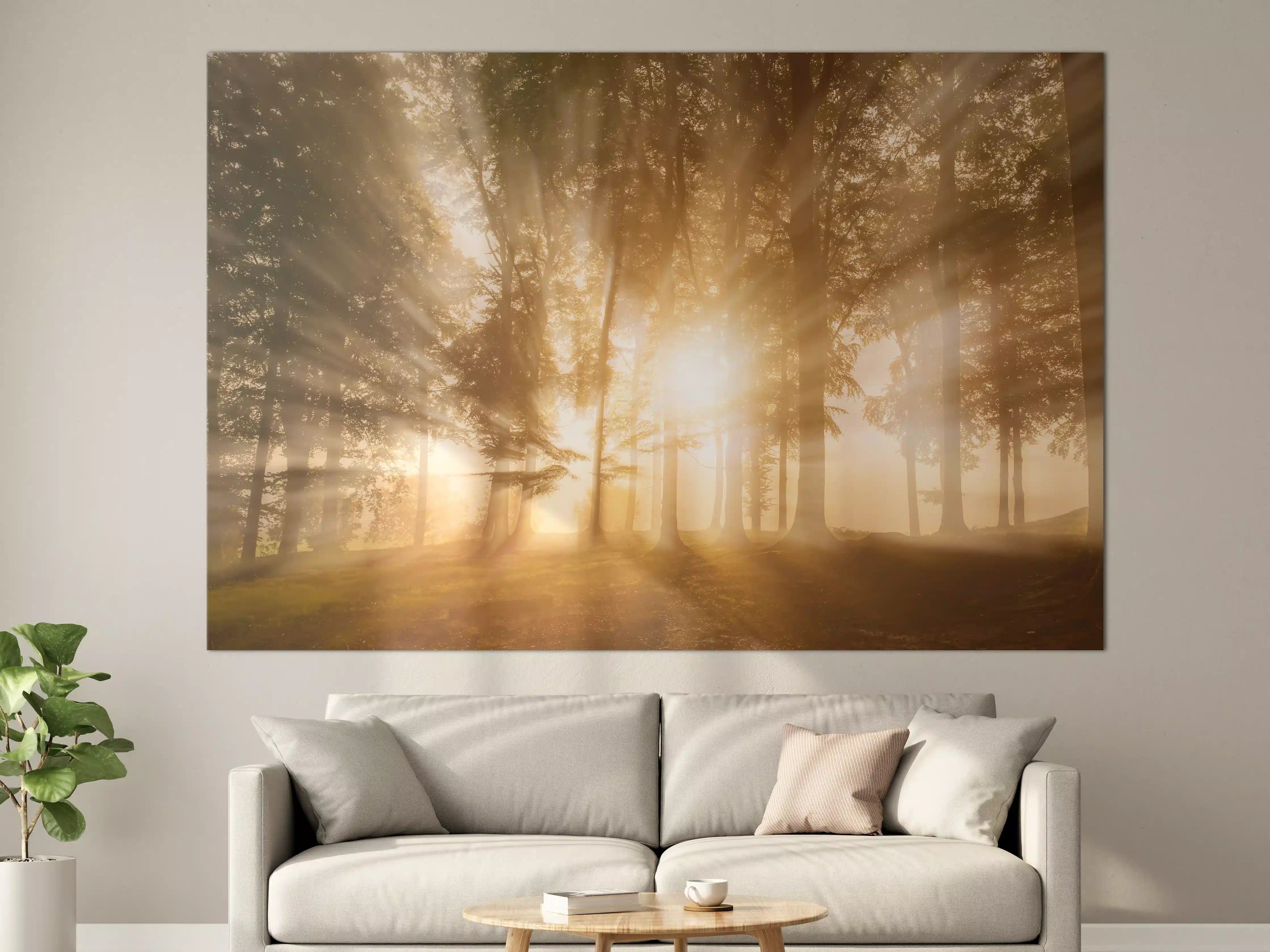 Große Wandbilder - Sonnenstrahlen durch den Wald
