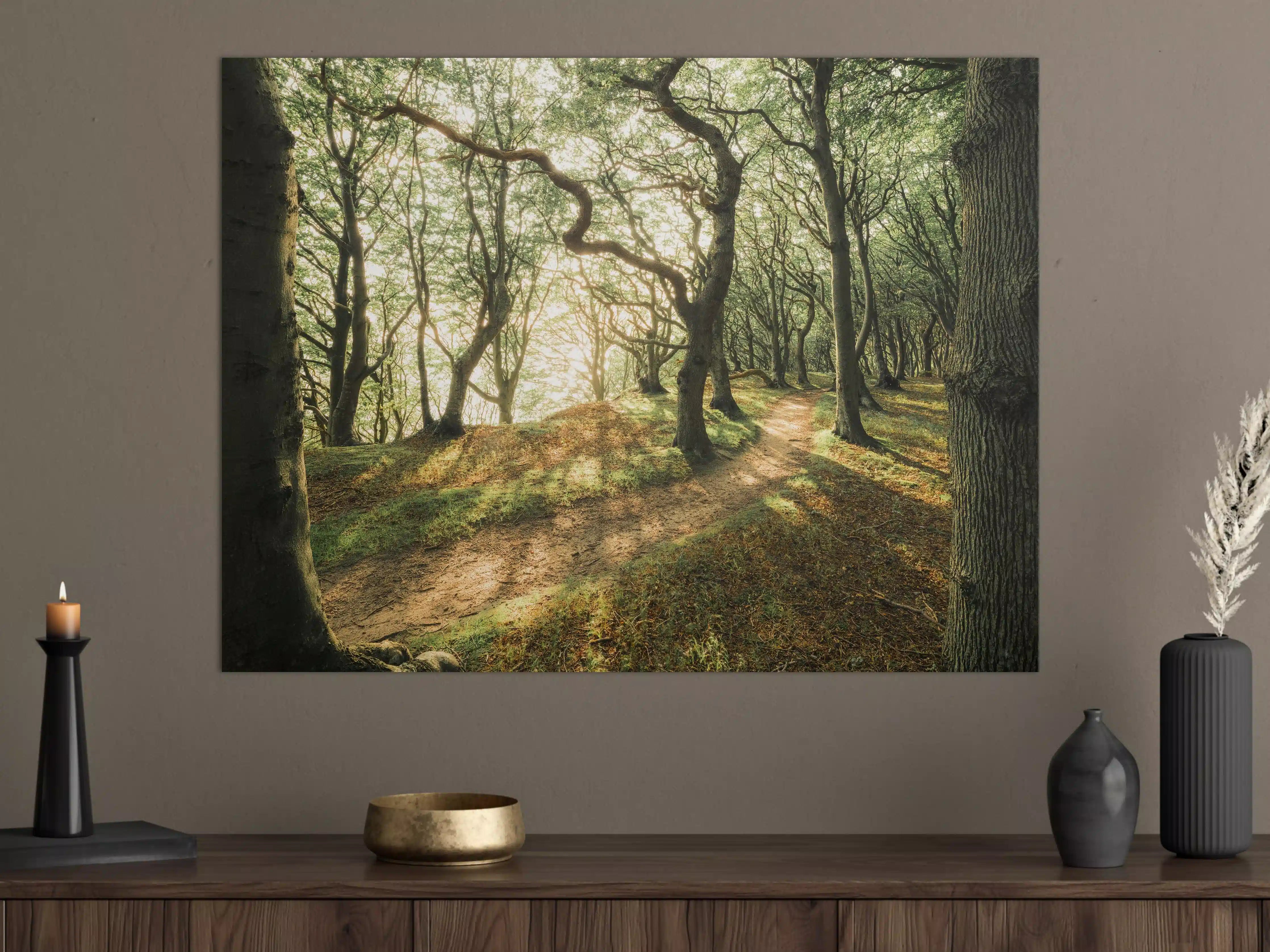 Große Wandbilder - Sonnenstrahlen im Waldweg