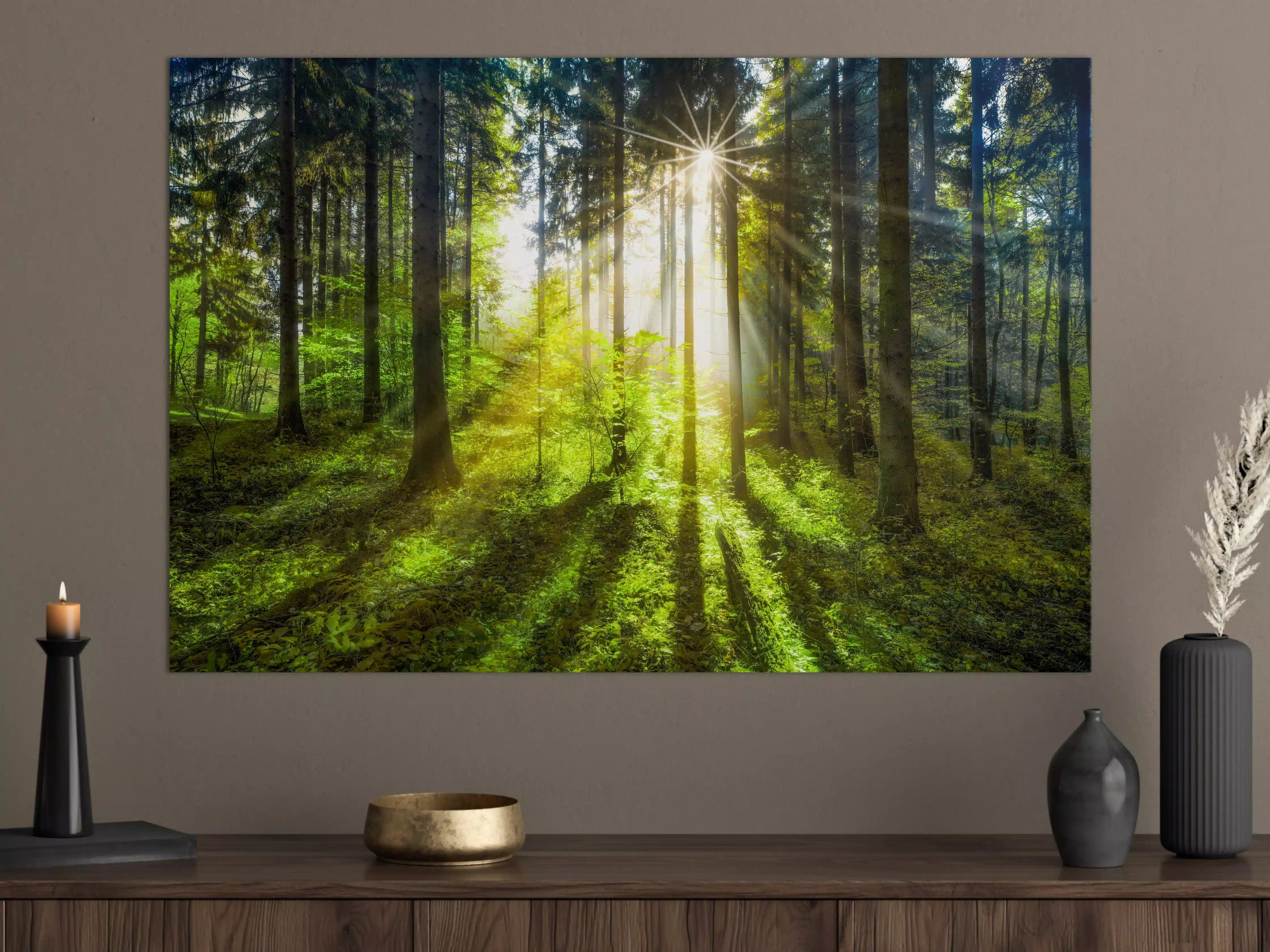 Große Wandbilder - Sonnenstrahlen im lebendigem Wald