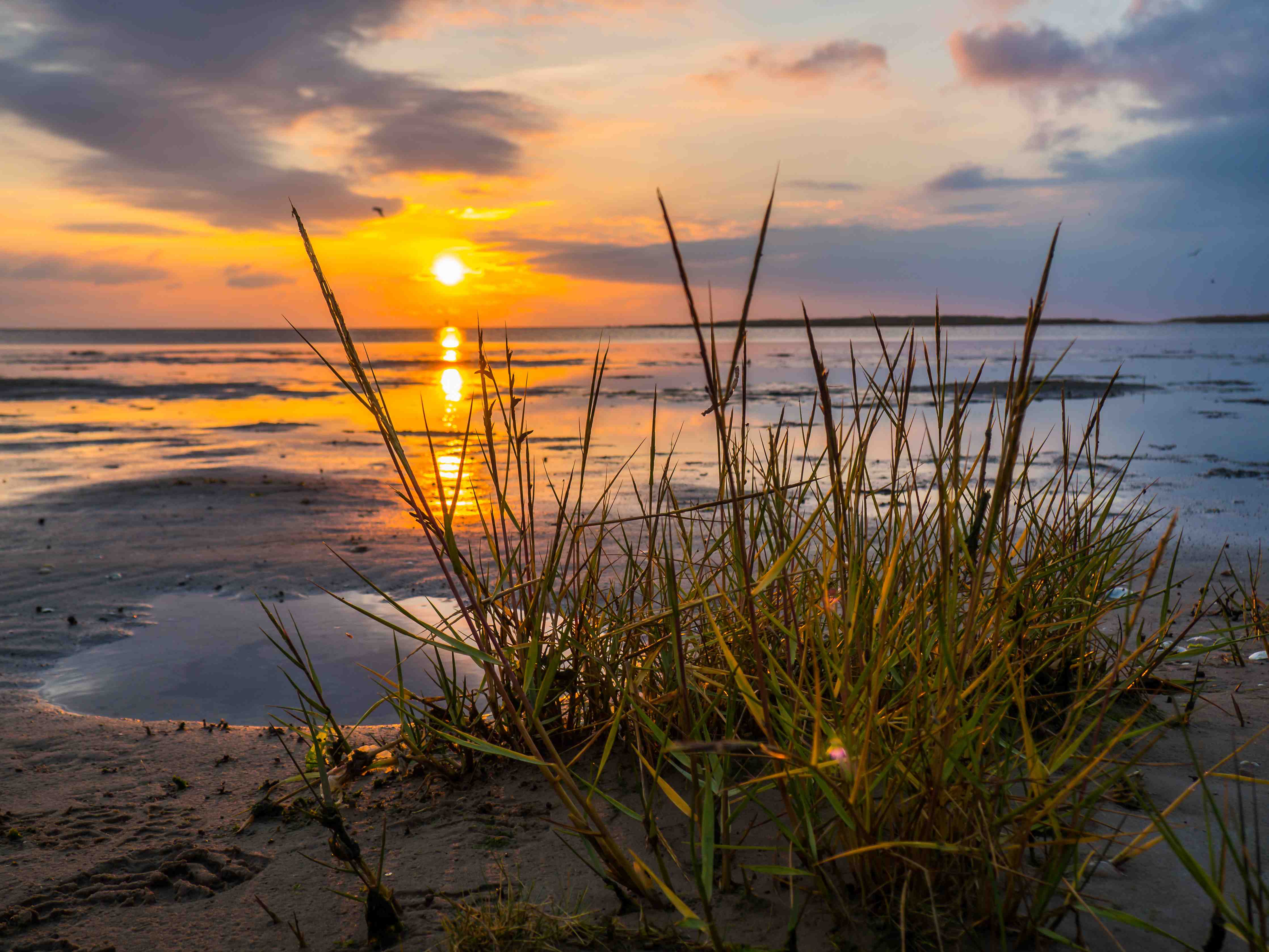 Große Wandbilder-Sonnenuntergang im Wattenmeer an der Nordsee
