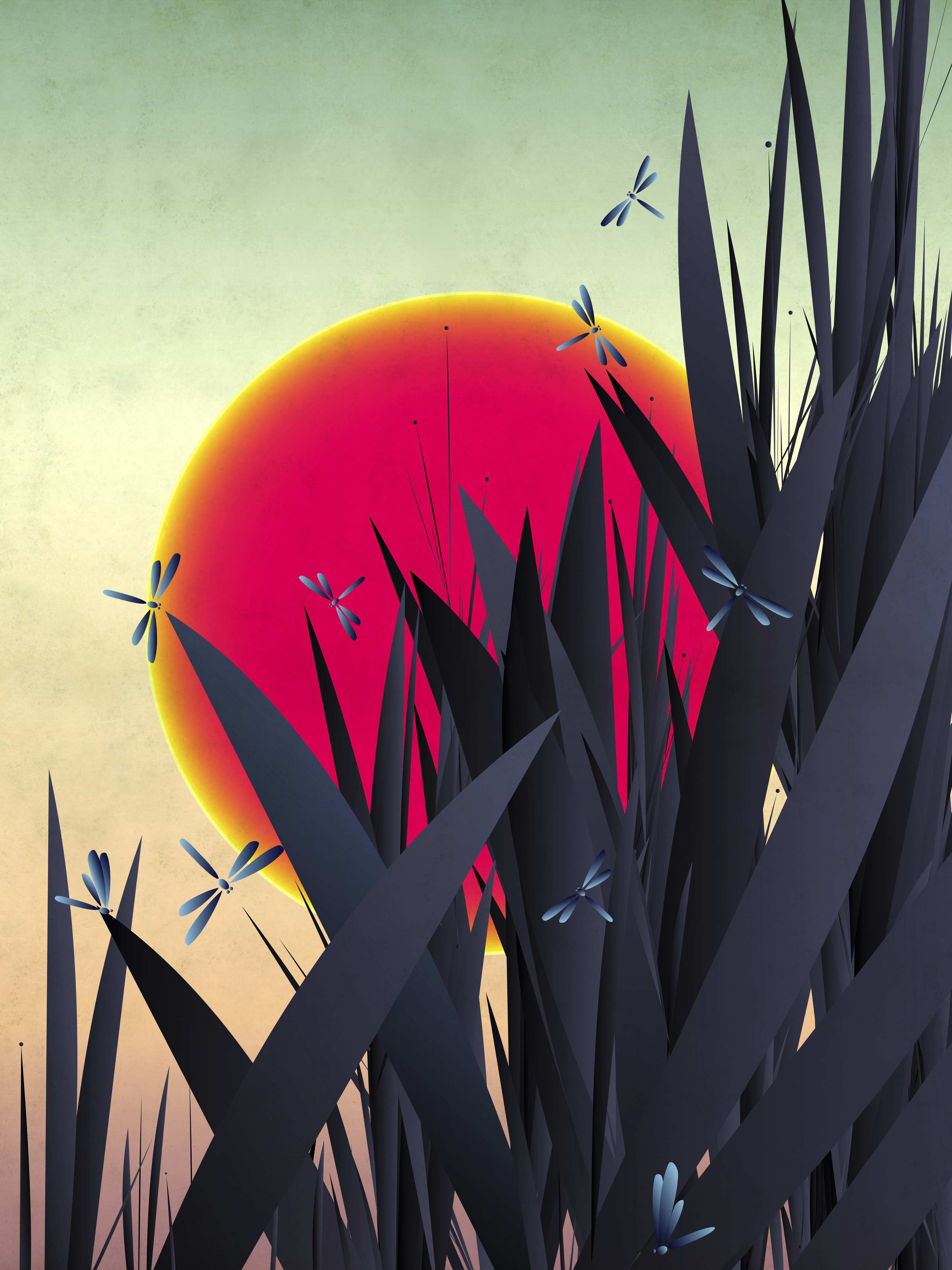 Große Wandbilder-Sonnenuntergang mit dramatischem Himmel und Dragonflies