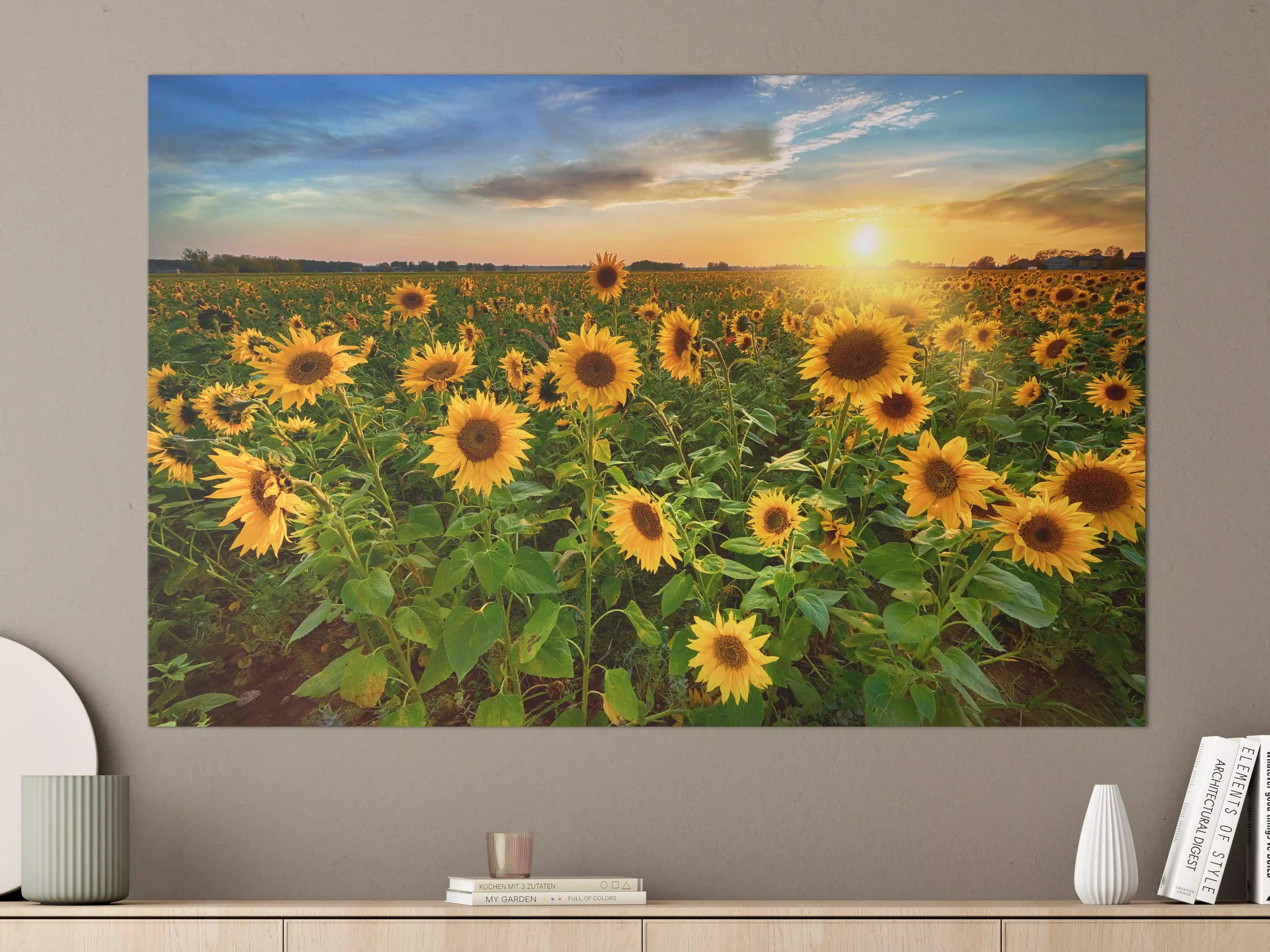 Große Wandbilder - Sonnenuntergang über Sonnenblumenfeld in Hessen