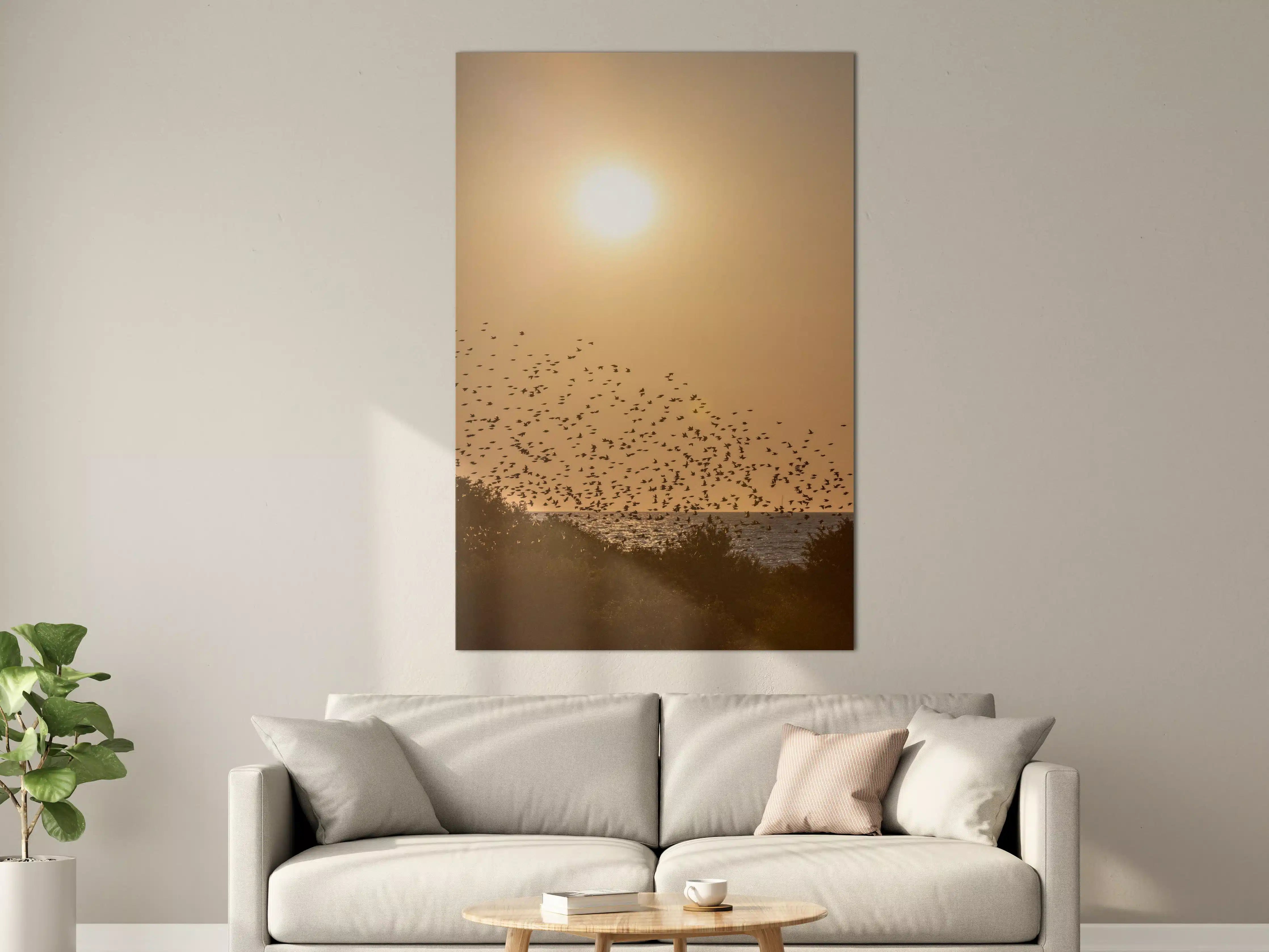 Große Wandbilder - Sonnenuntergang über dem Meer mit Vögeln