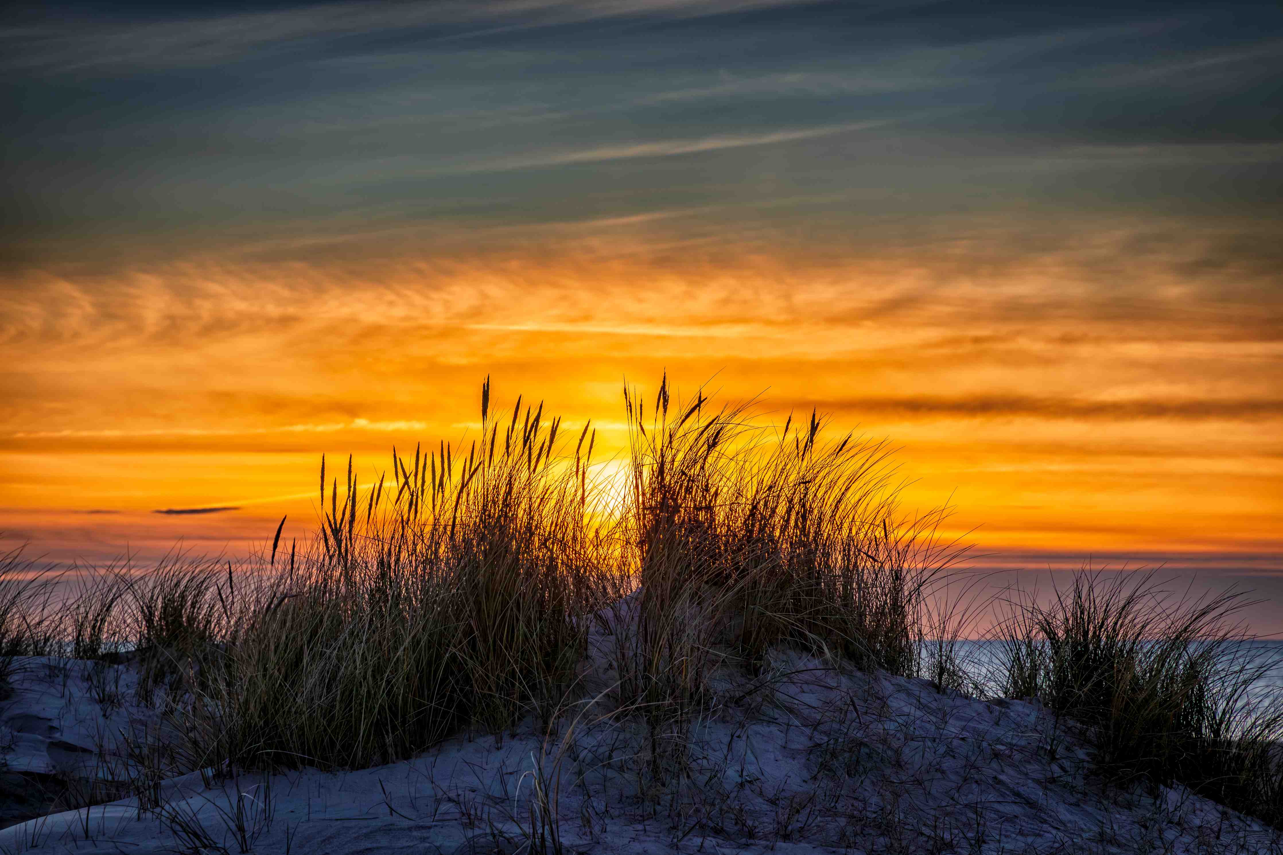 Große Wandbilder-Sonnenuntergang über den Dünen mit Gräsern