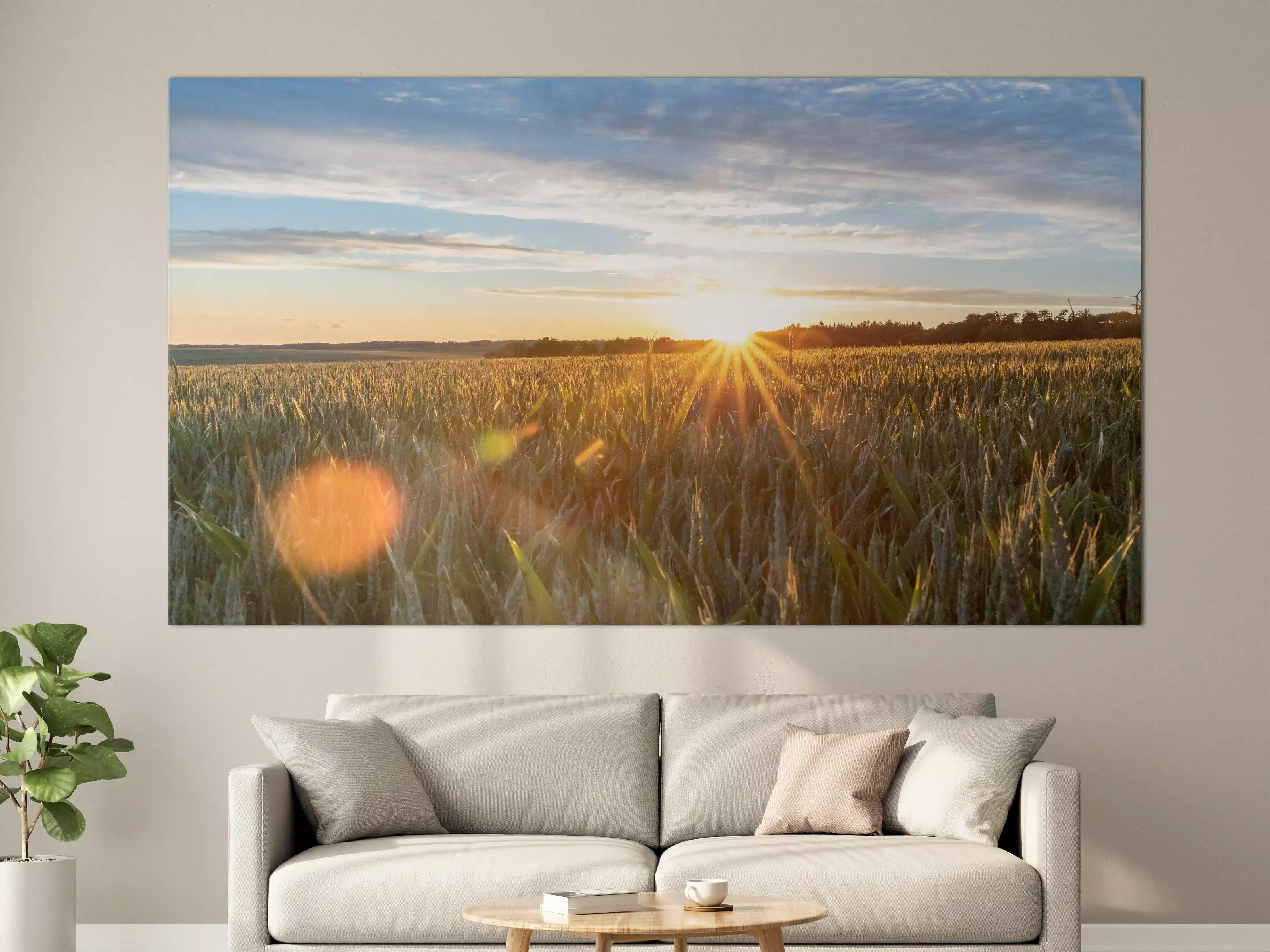 Große Wandbilder - Sonnenuntergang über einem Kornfeld