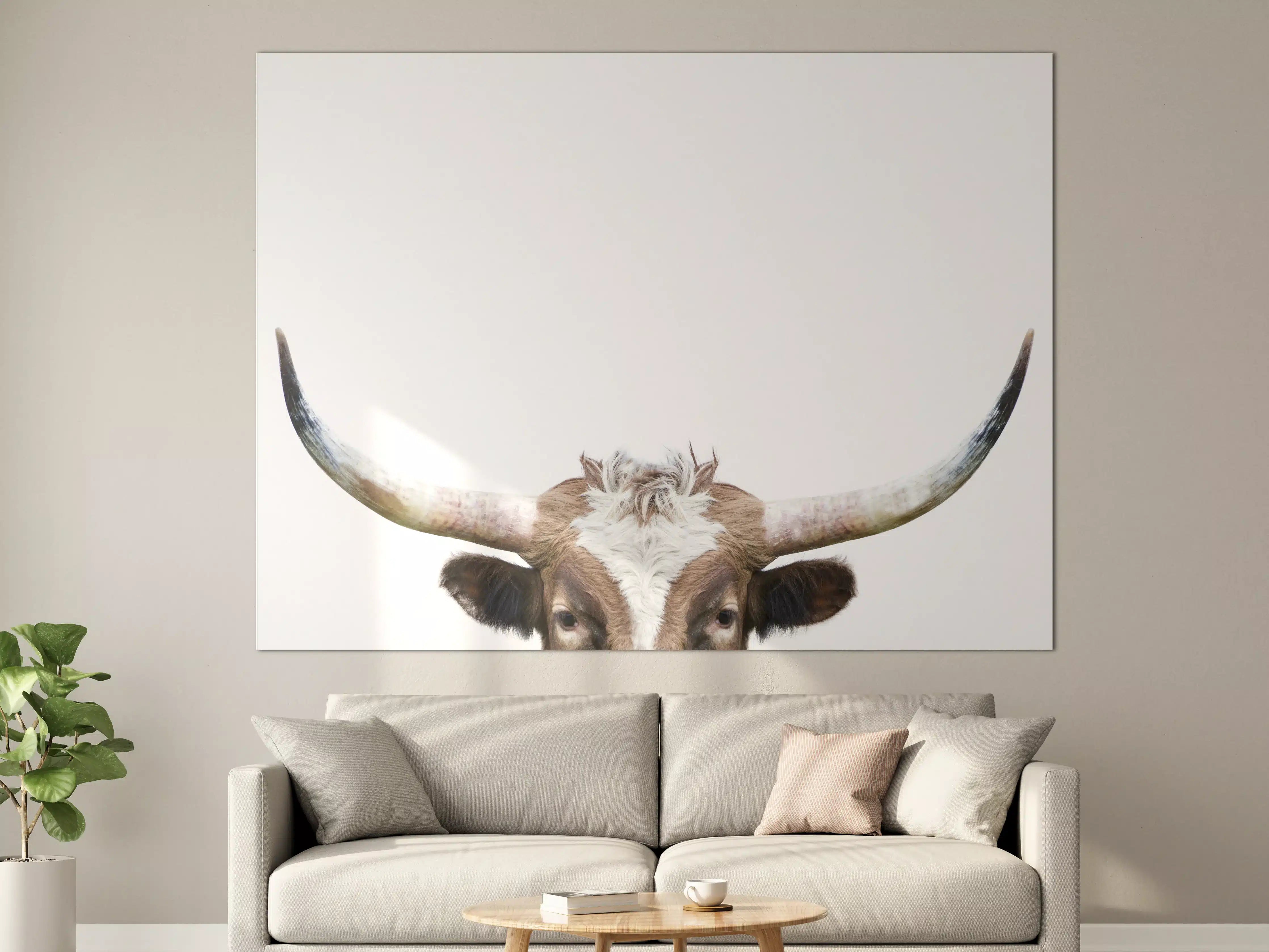 Große Wandbilder - Spähende Longhorn-Kuh