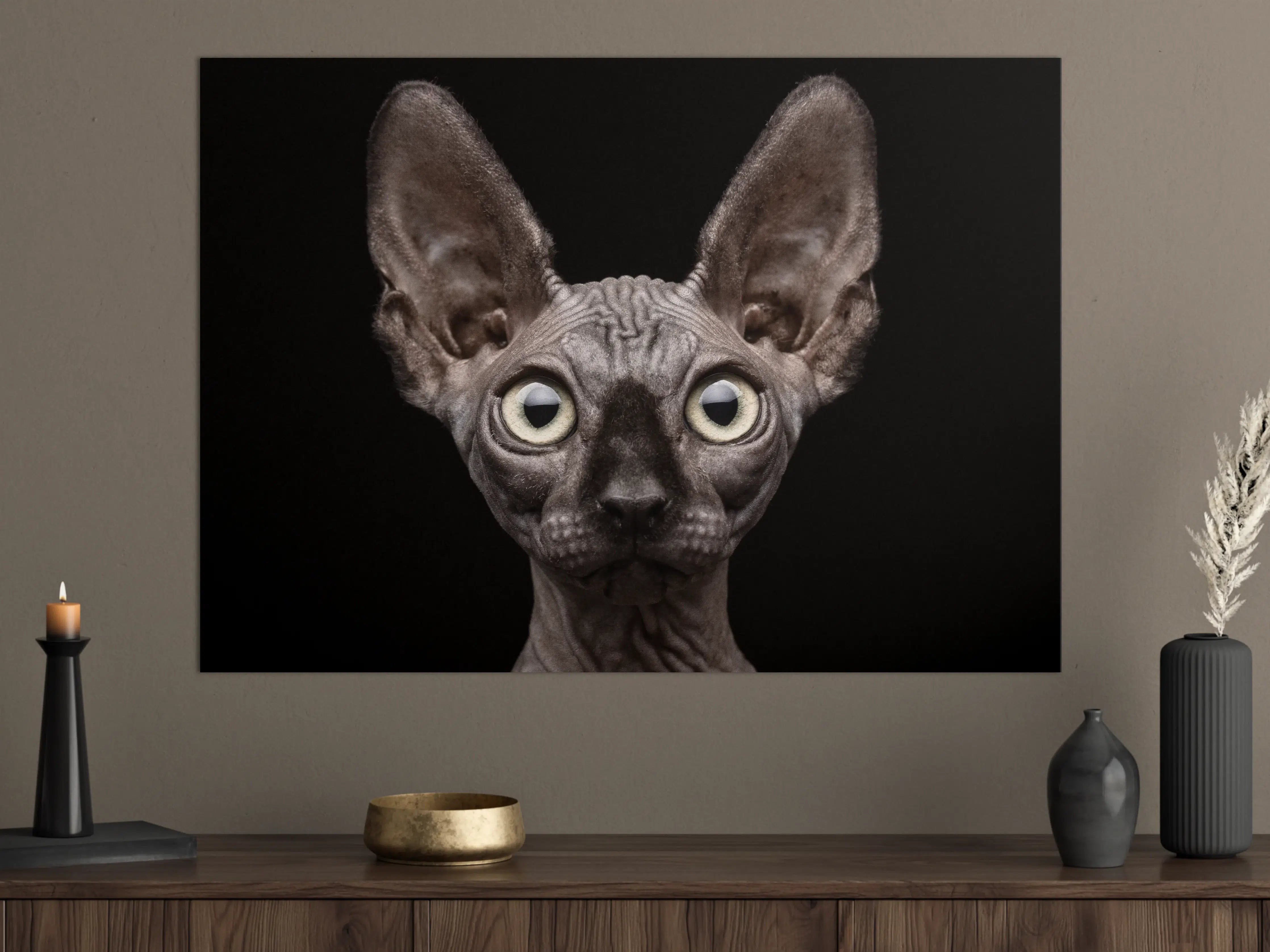 Große Wandbilder - Sphynx-Katzenkopf mit großen Ohren