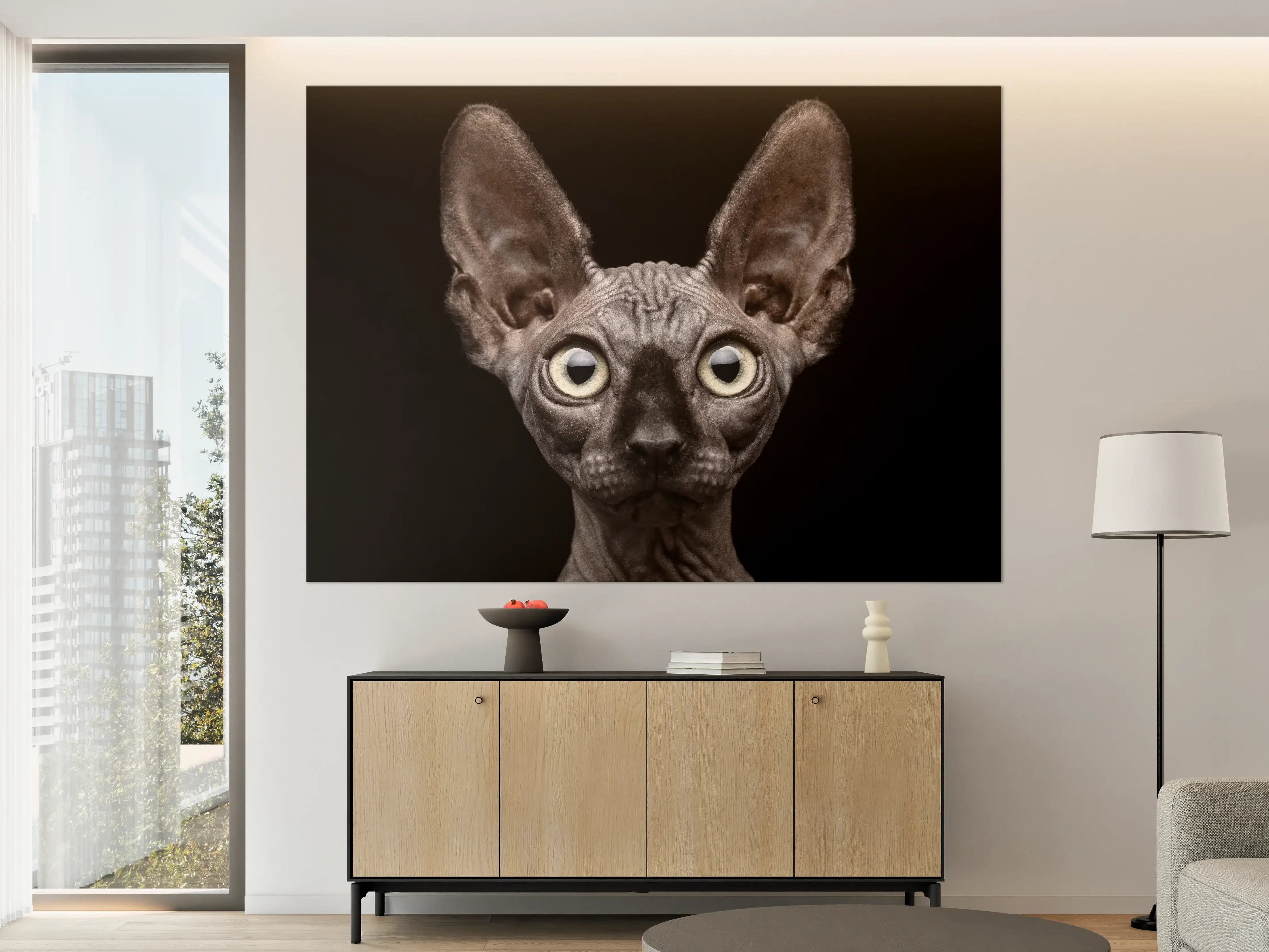 Große Wandbilder - Sphynx-Katzenkopf mit großen Ohren