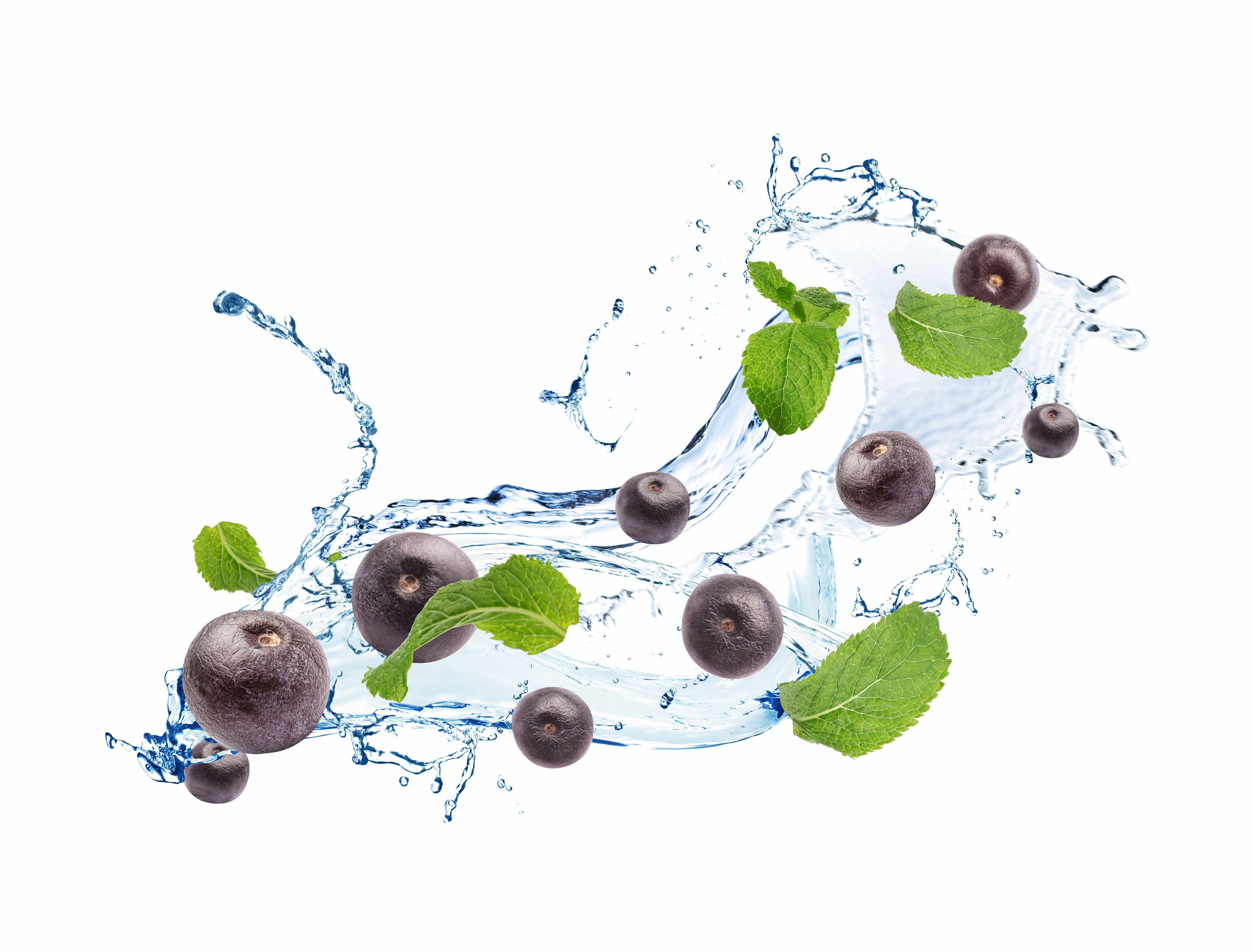 Große Wandbilder-Spritzige Blaubeeren