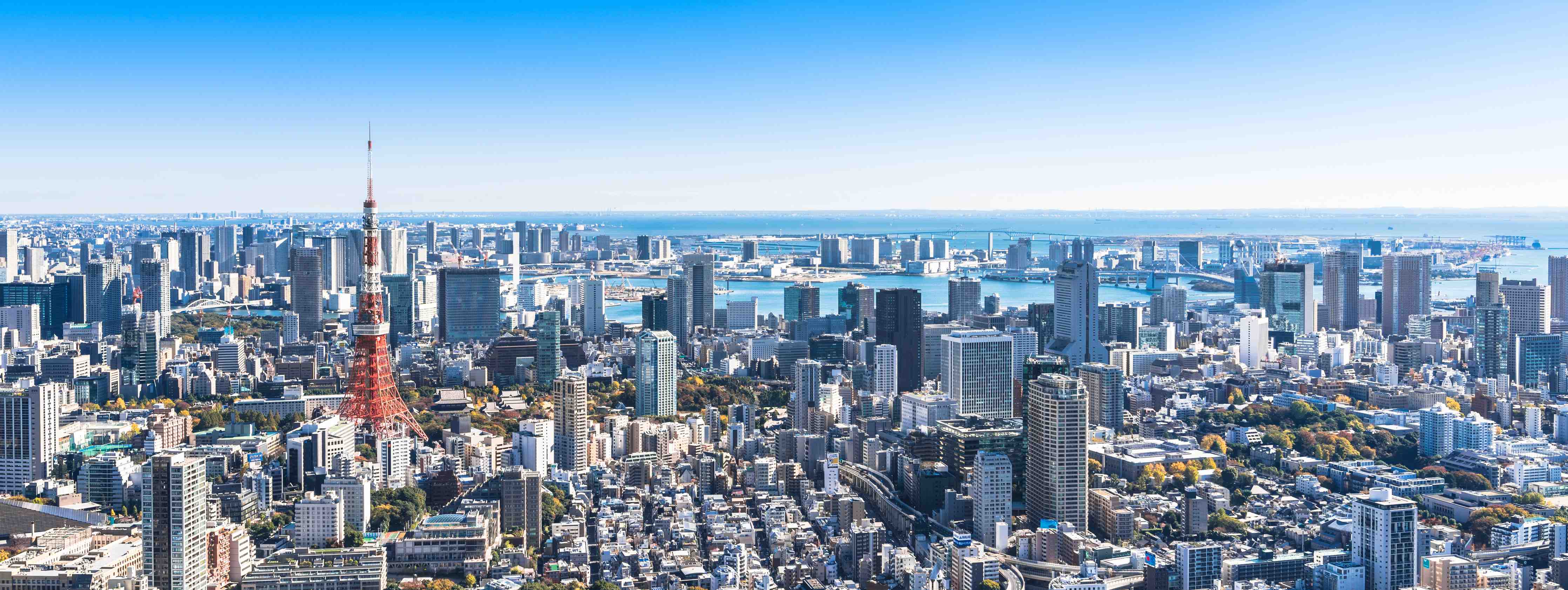 Große Wandbilder-Stadtansicht mit Tokyo Tower und moderner Skyline