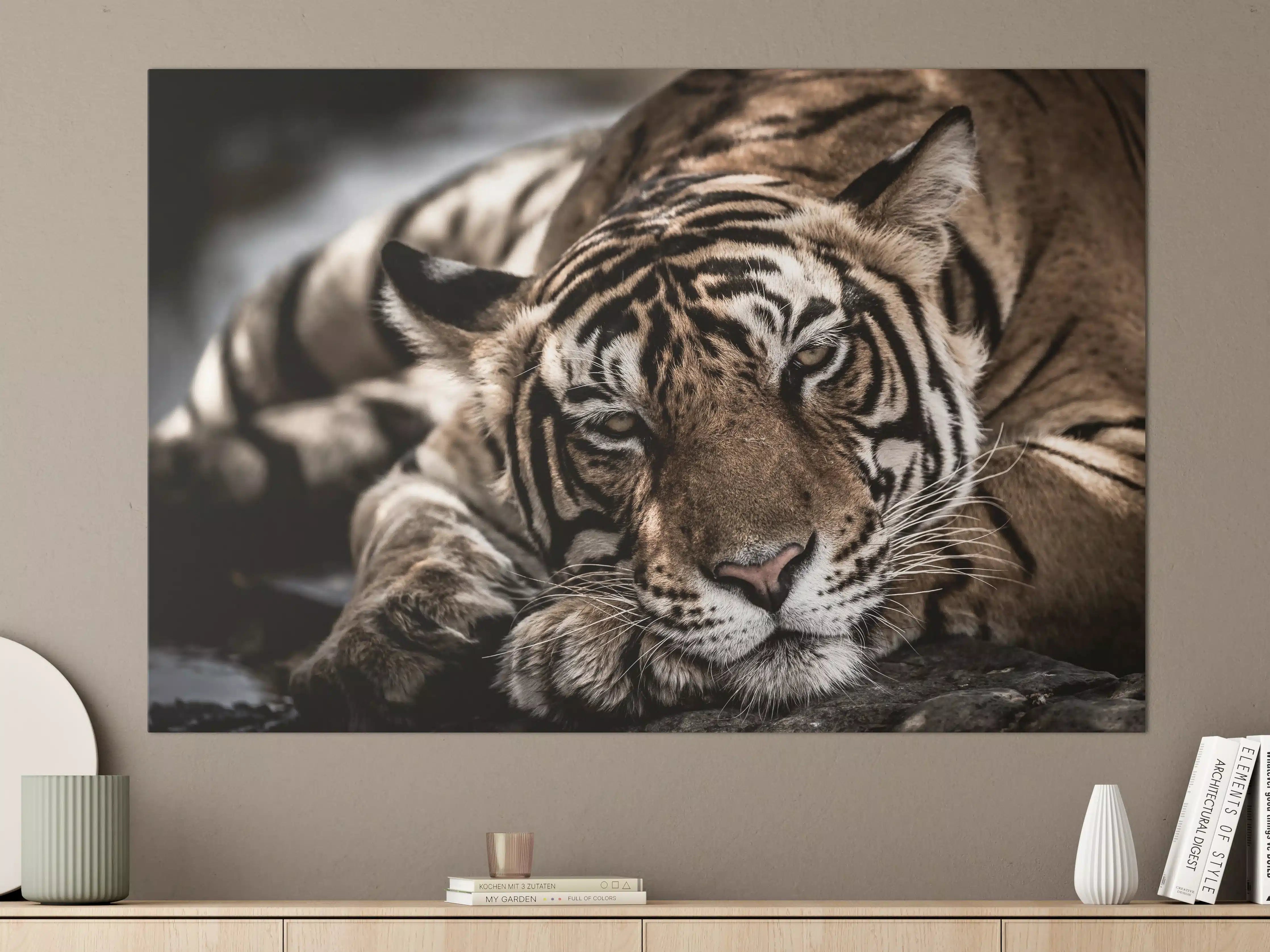 Große Wandbilder - Starker Tiger im Ruhezustand