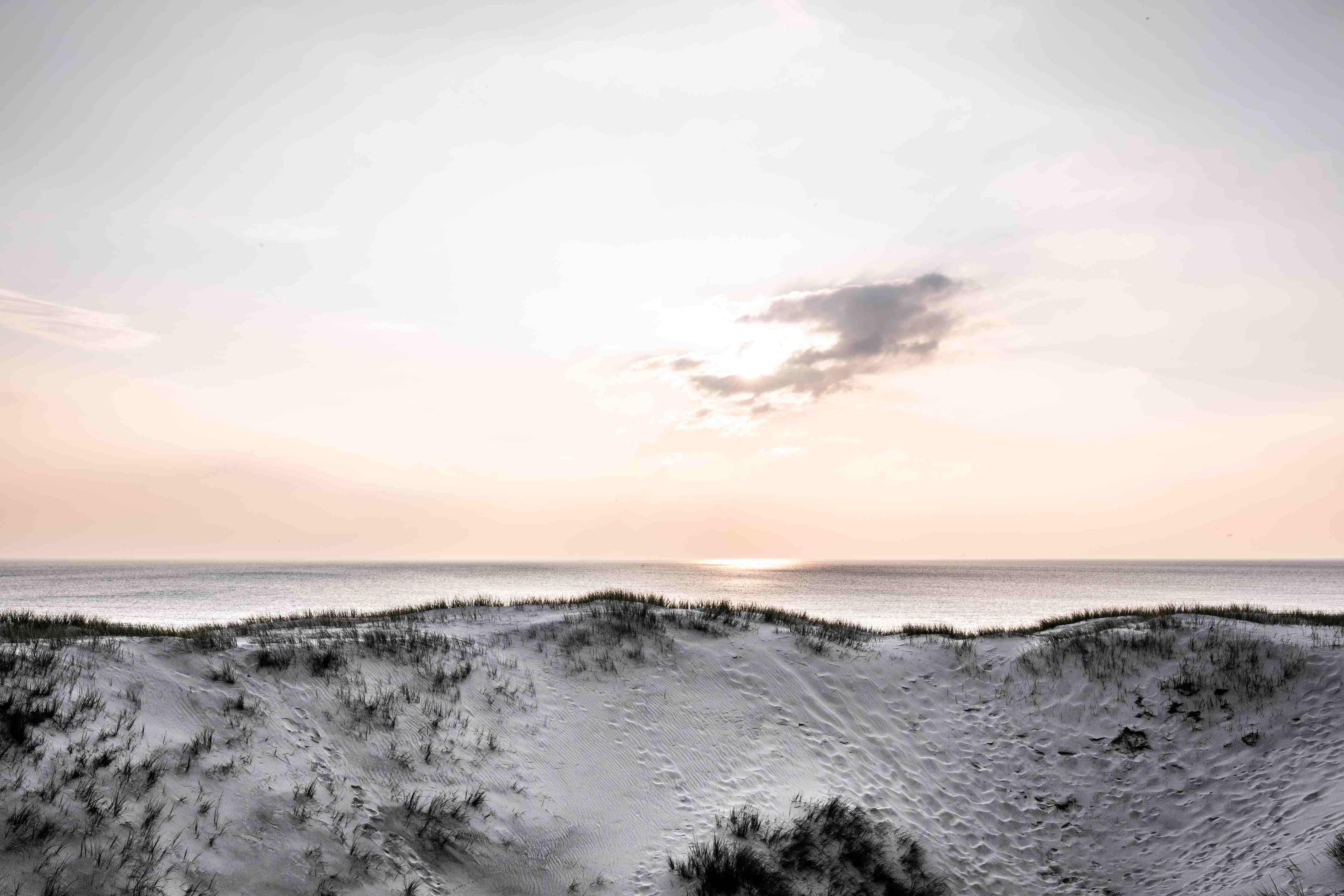 Große Wandbilder-Strand bei Sonnenaufgang im sanften Licht