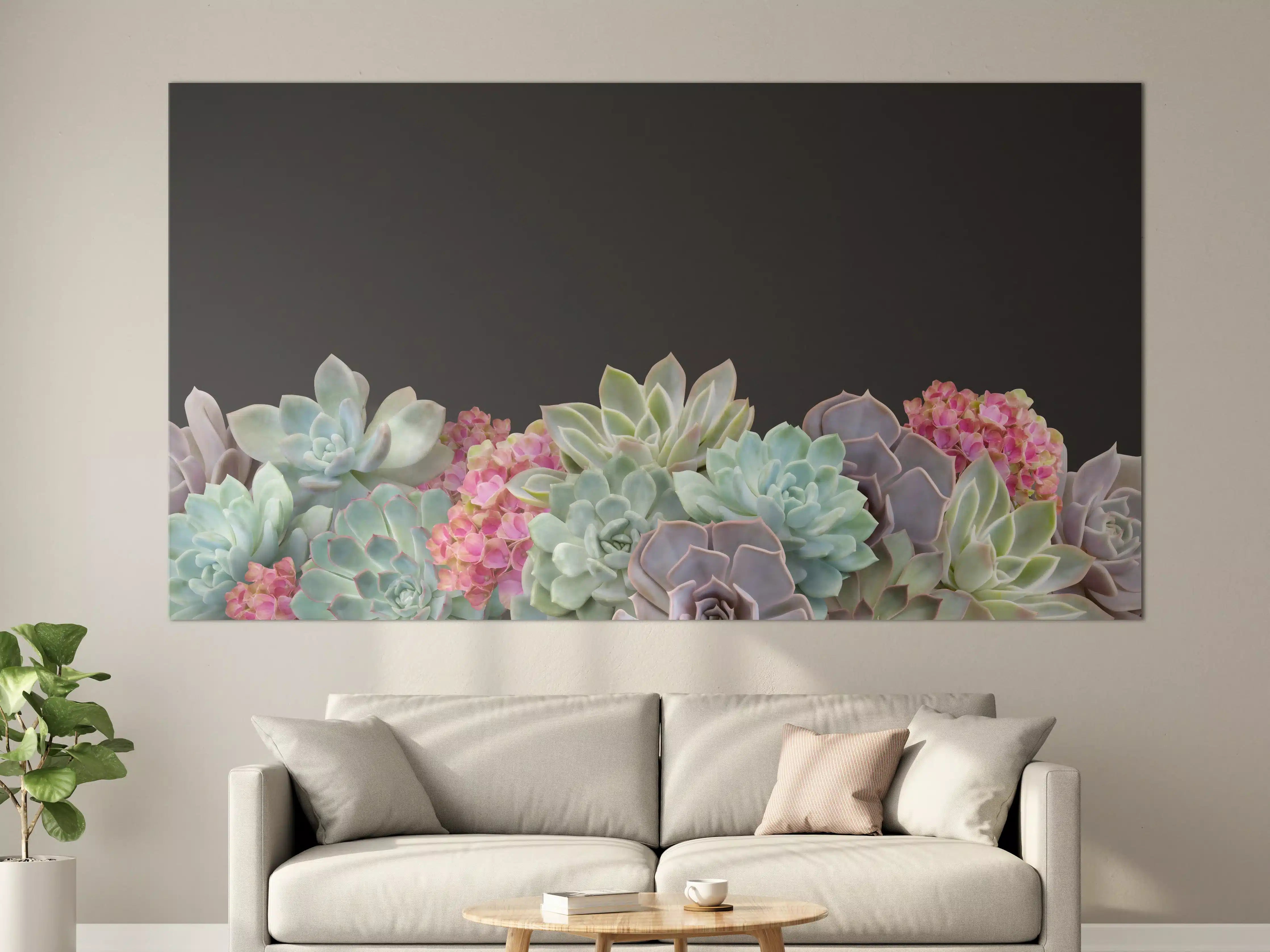 Große Wandbilder - Sukkulente Blumen - Bunt