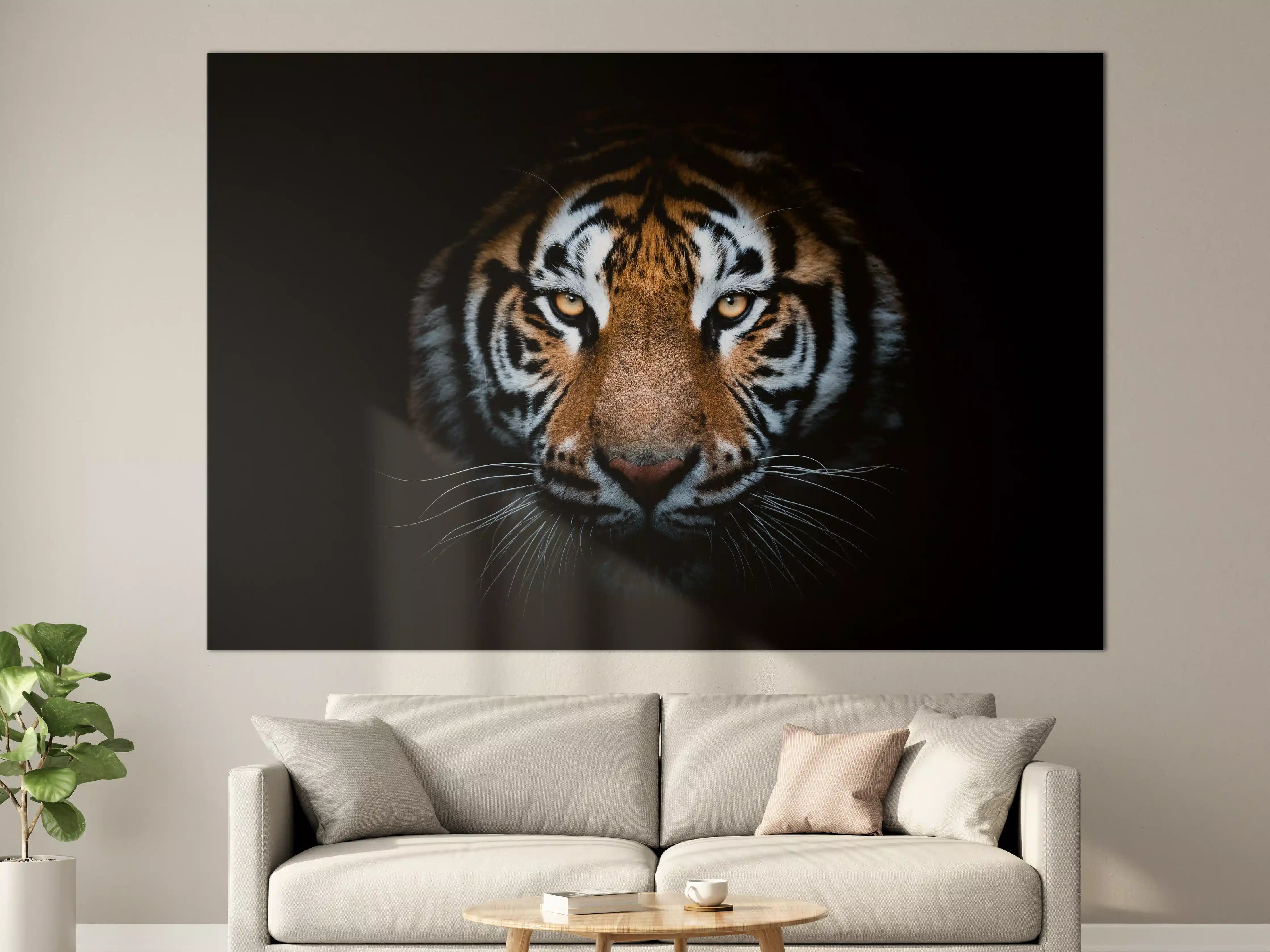 Große Wandbilder - Tiger-Portrait Schwarzer Hintergrund
