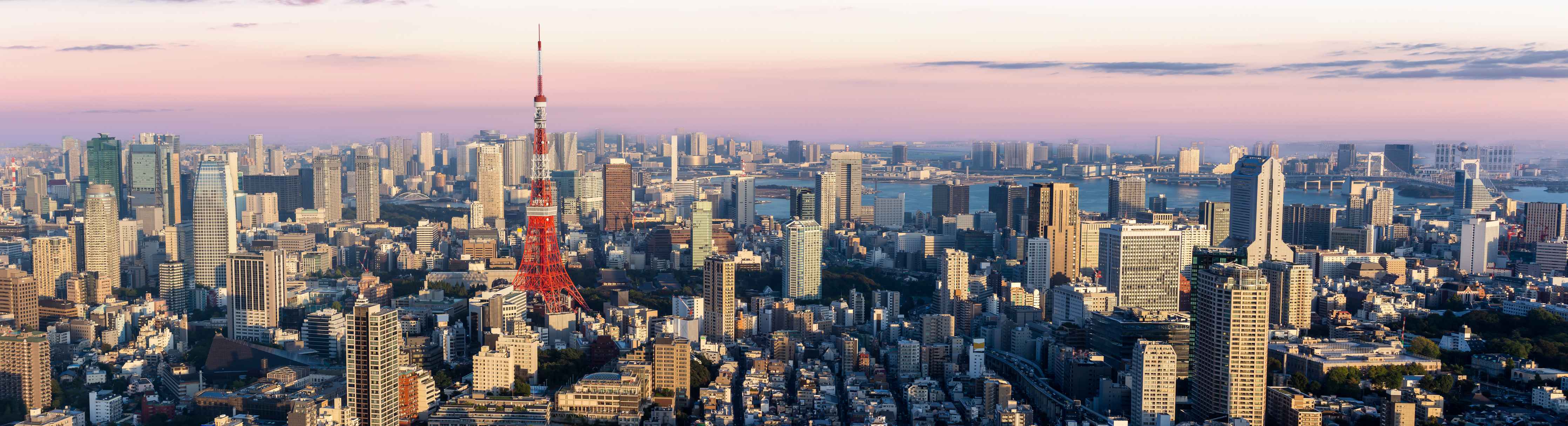 Große Wandbilder-Tokio Skyline mit Tokyo Tower
