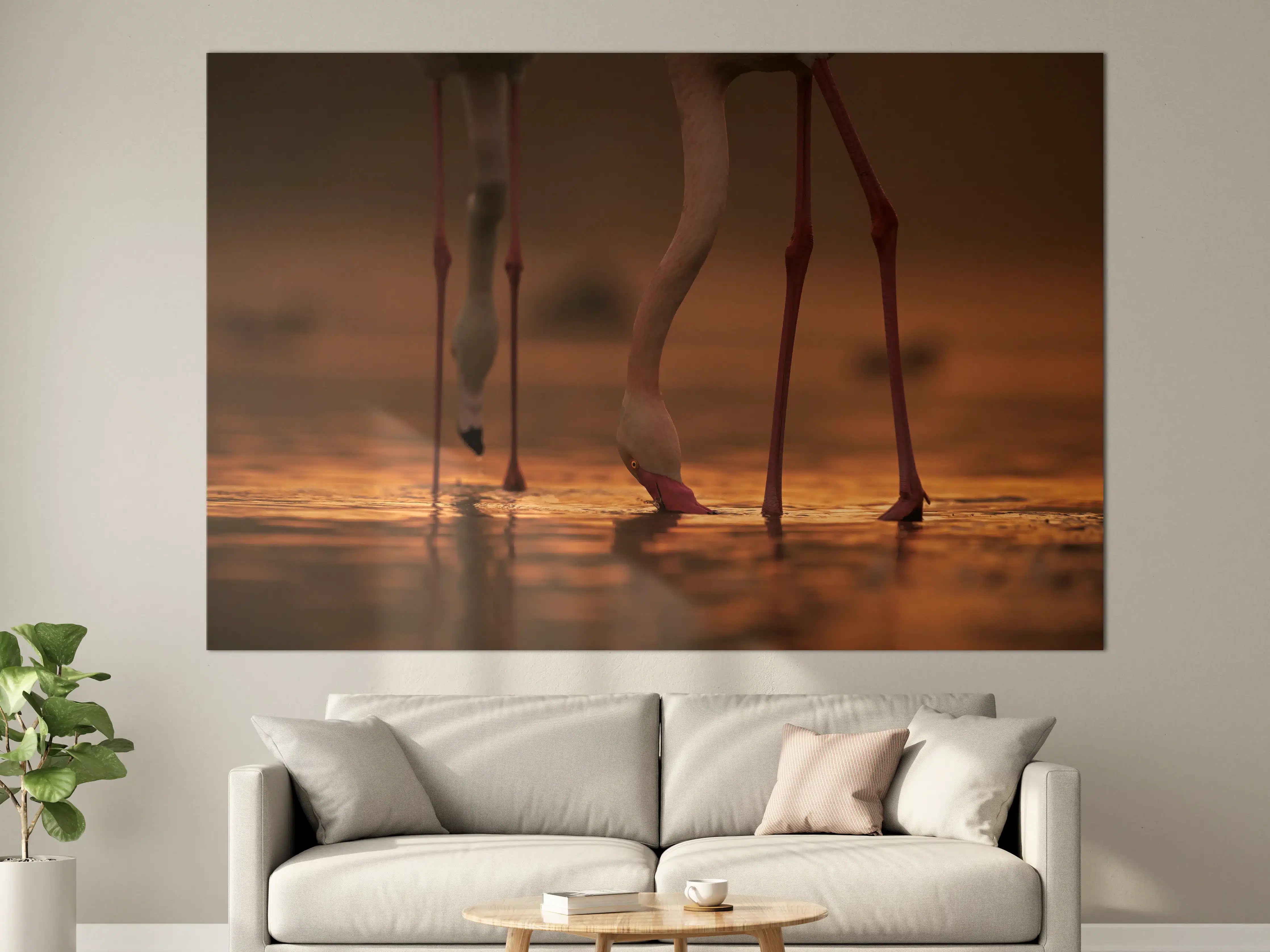 Große Wandbilder - Trinkende Flamingos