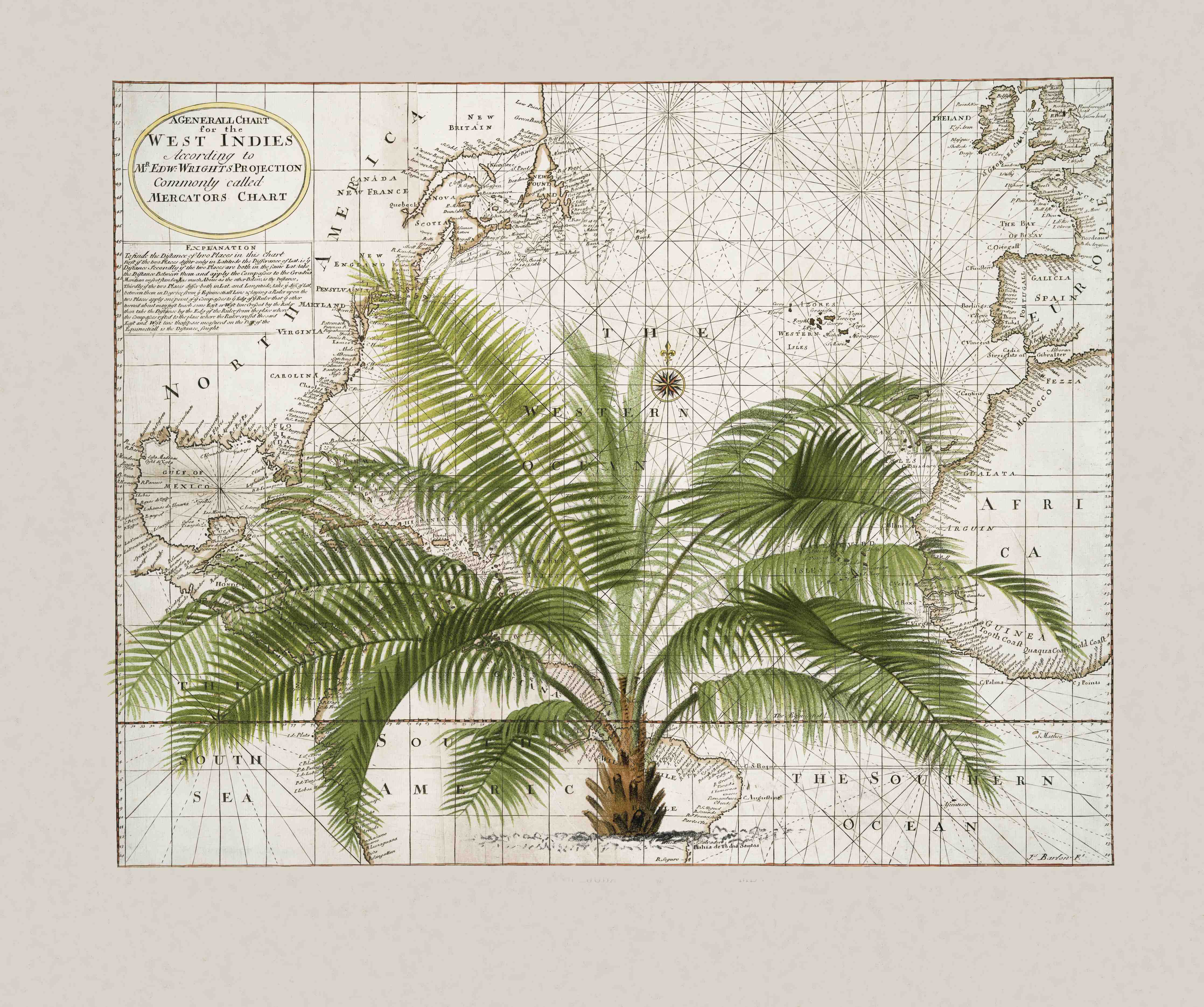 Große Wandbilder-Tropical Empire No1