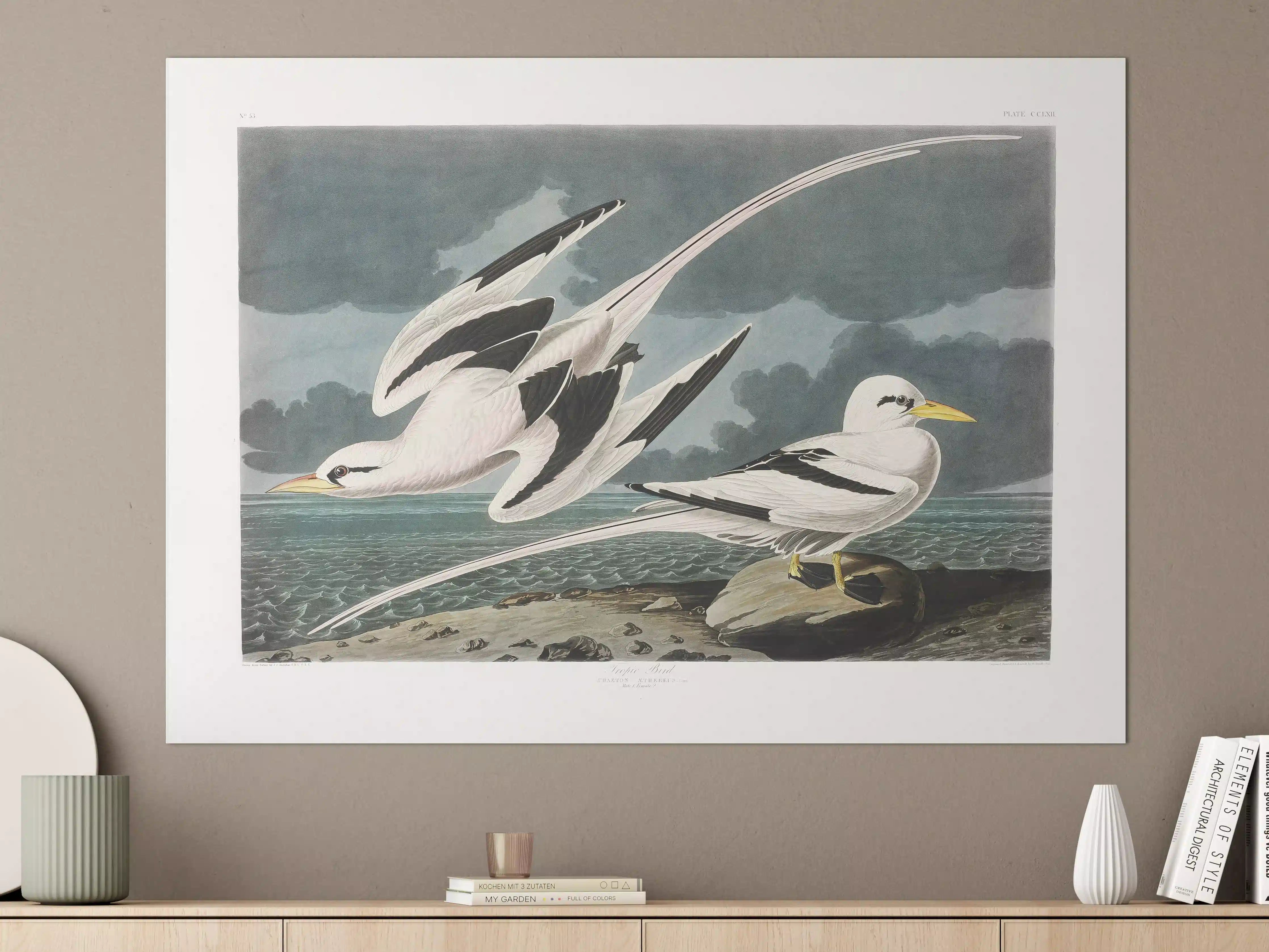 Große Wandbilder - Tropische Vögel - John James Audubon