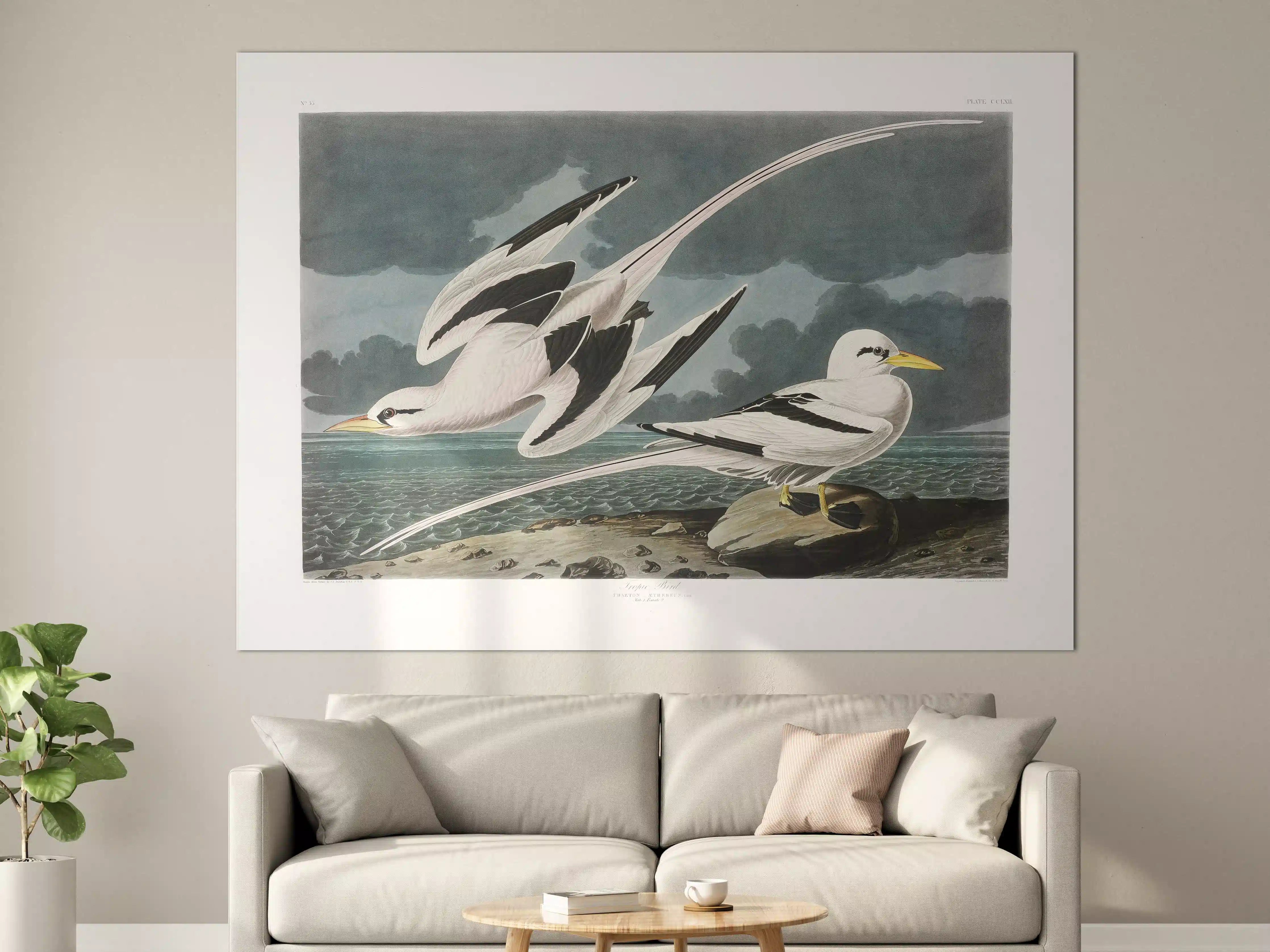 Große Wandbilder - Tropische Vögel - John James Audubon