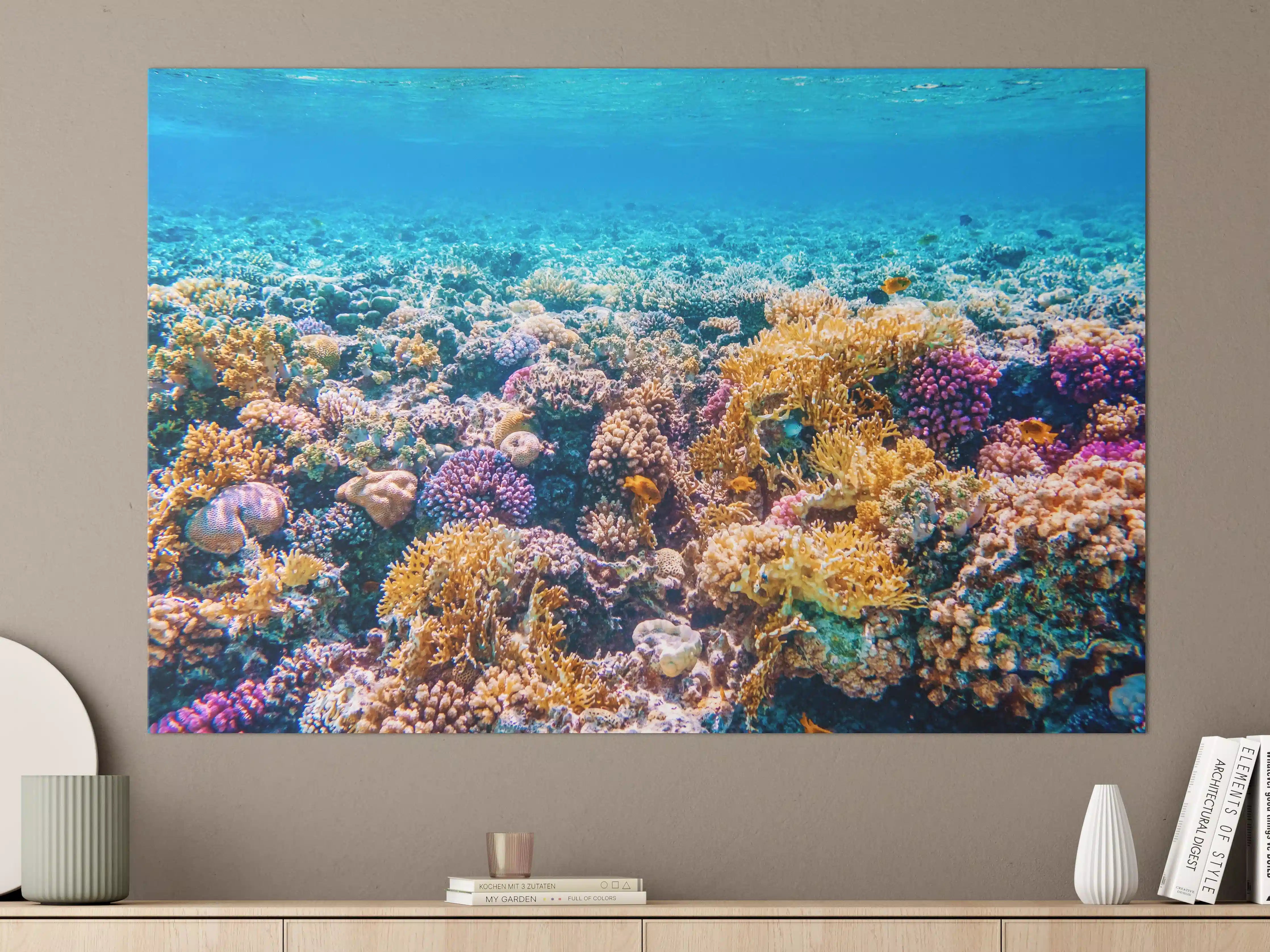 Große Wandbilder - Tropisches Korallenriff