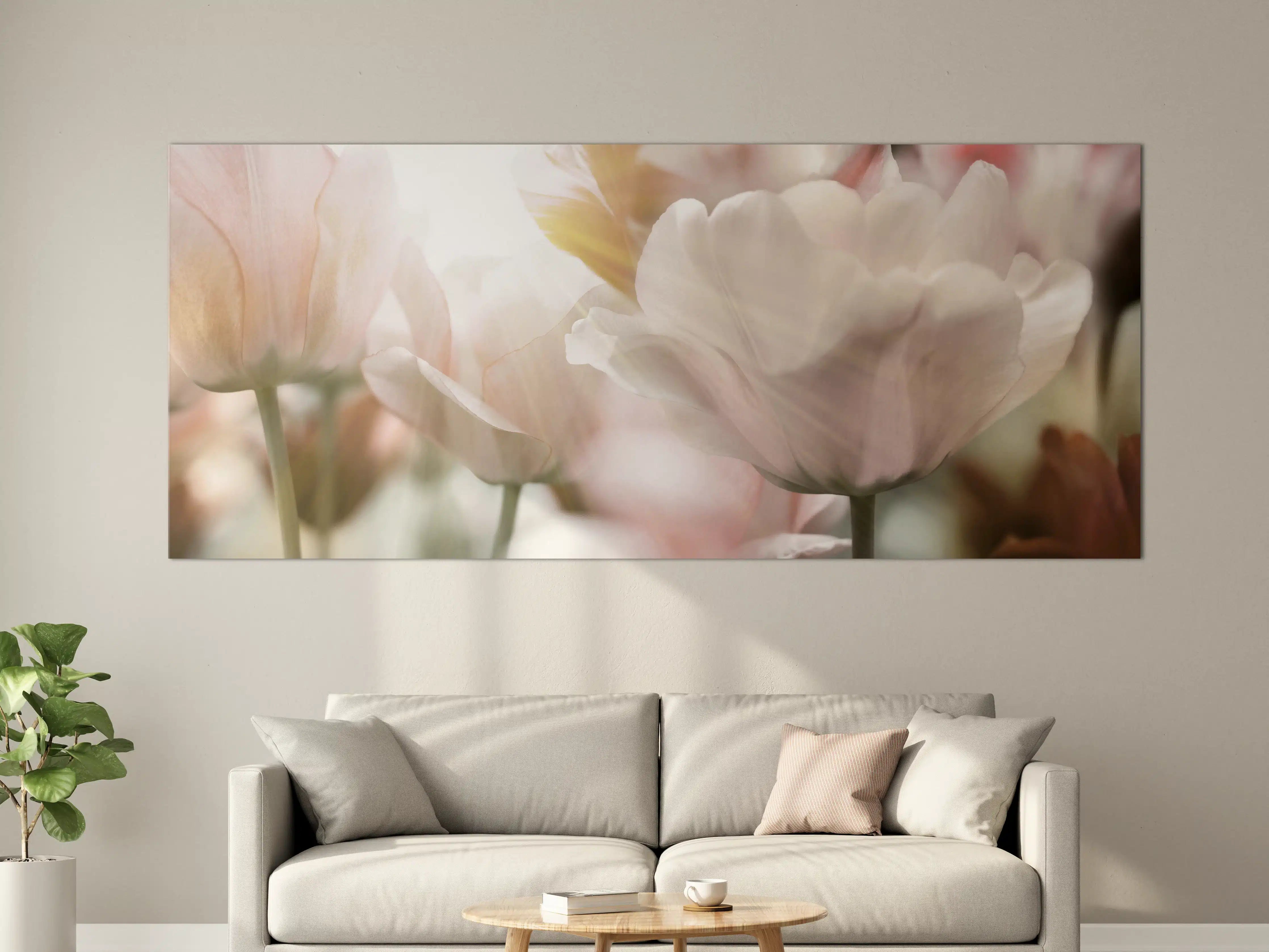 Große Wandbilder - Tulpen in Sonnenstrahlen