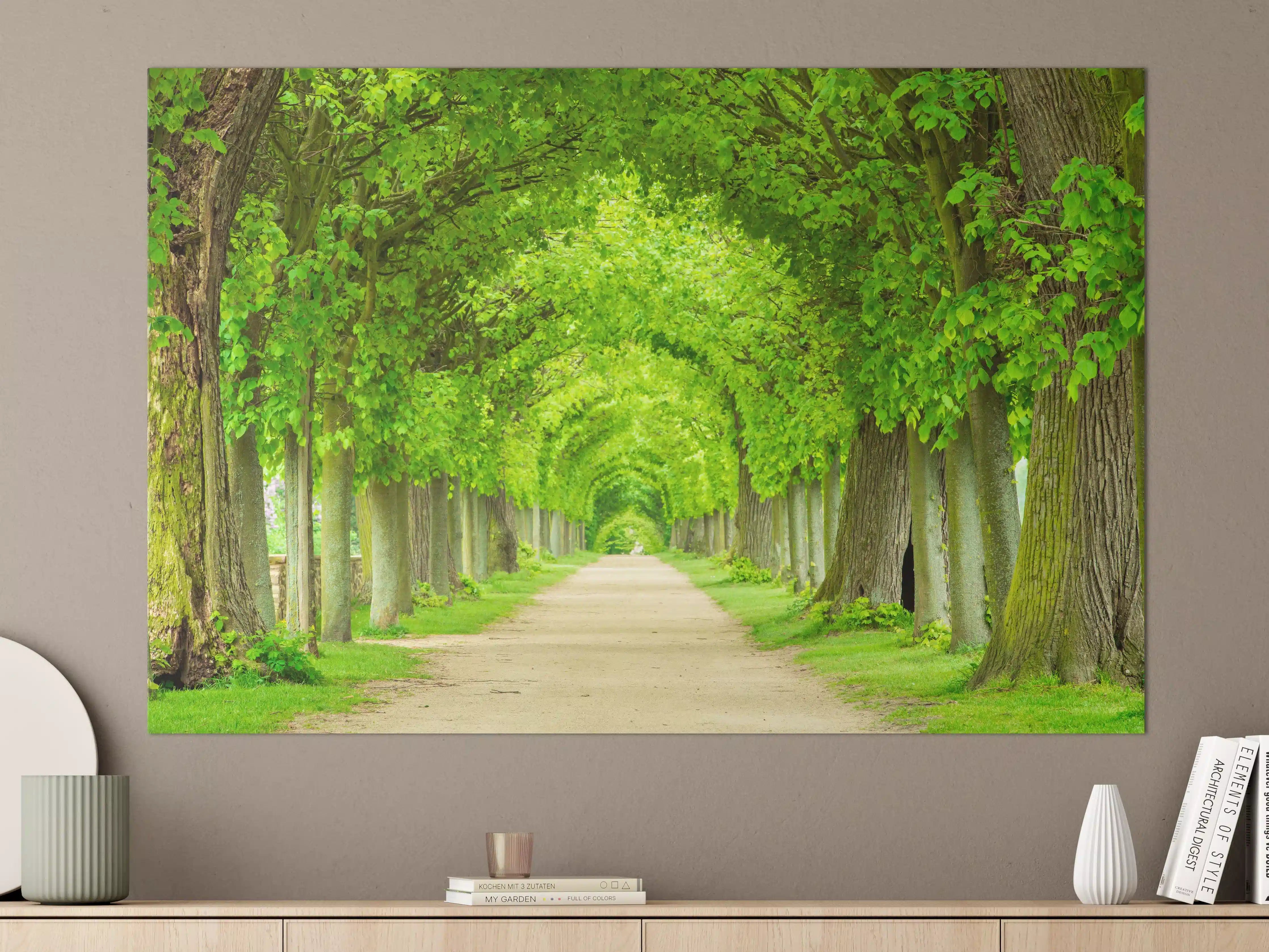 Große Wandbilder - Tunnelartige Lindenallee im Frühling