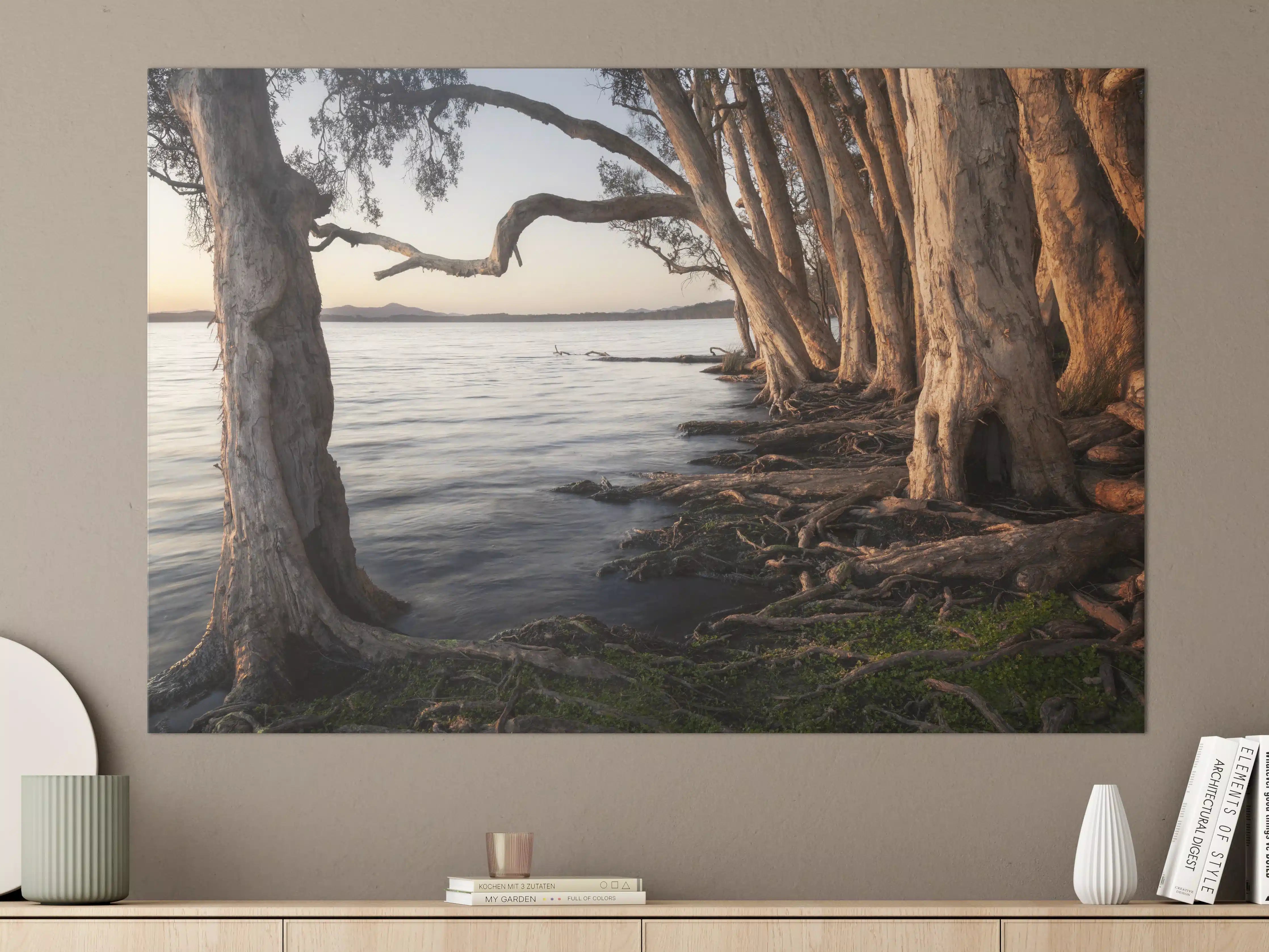Große Wandbilder - Ufer mit alten Bäume bei Sonnenuntergang