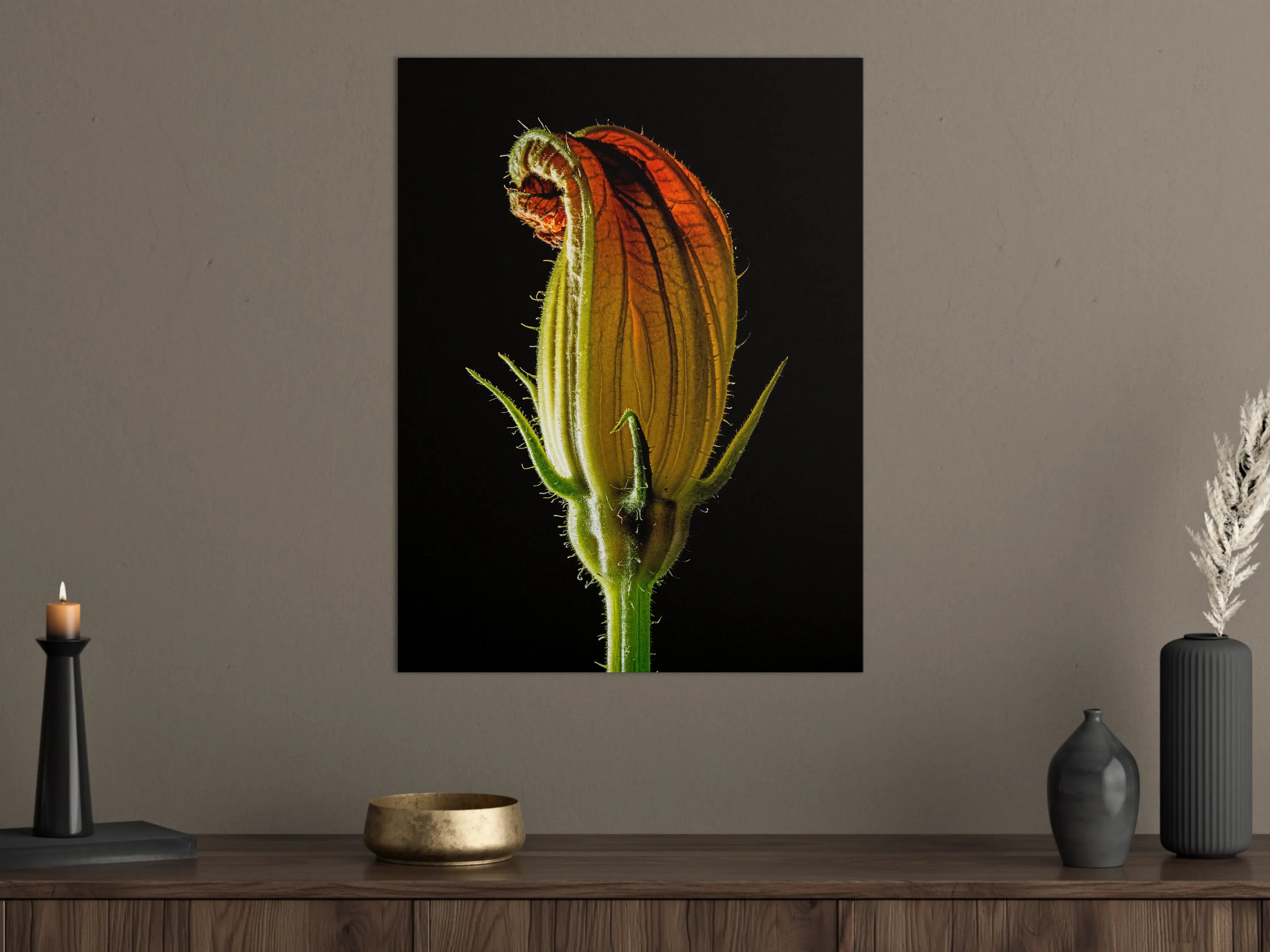 Große Wandbilder - Verschlossene Blumenknospe im Gegenlicht