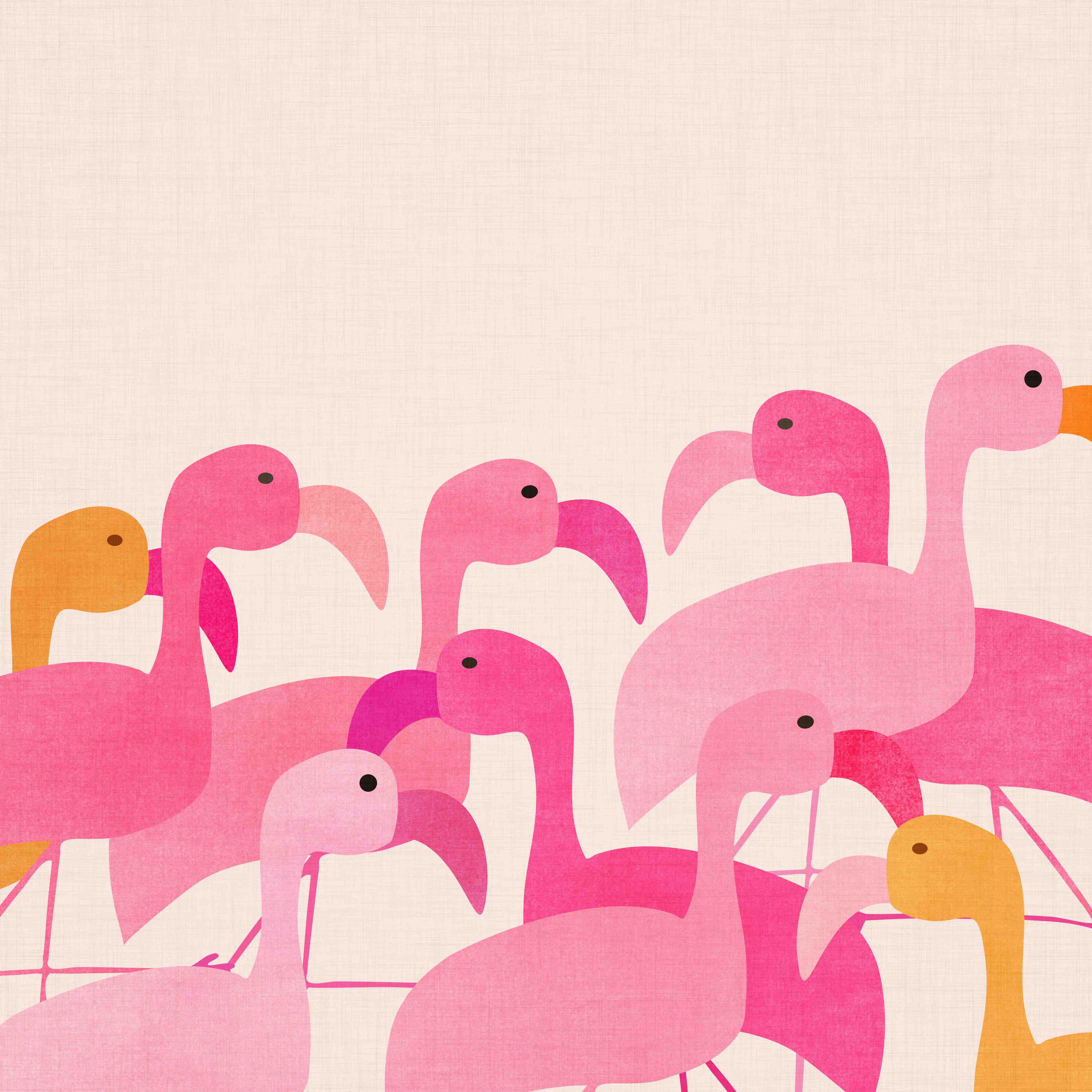 Große Wandbilder-Verspielte Flamingos in Pink und Orange