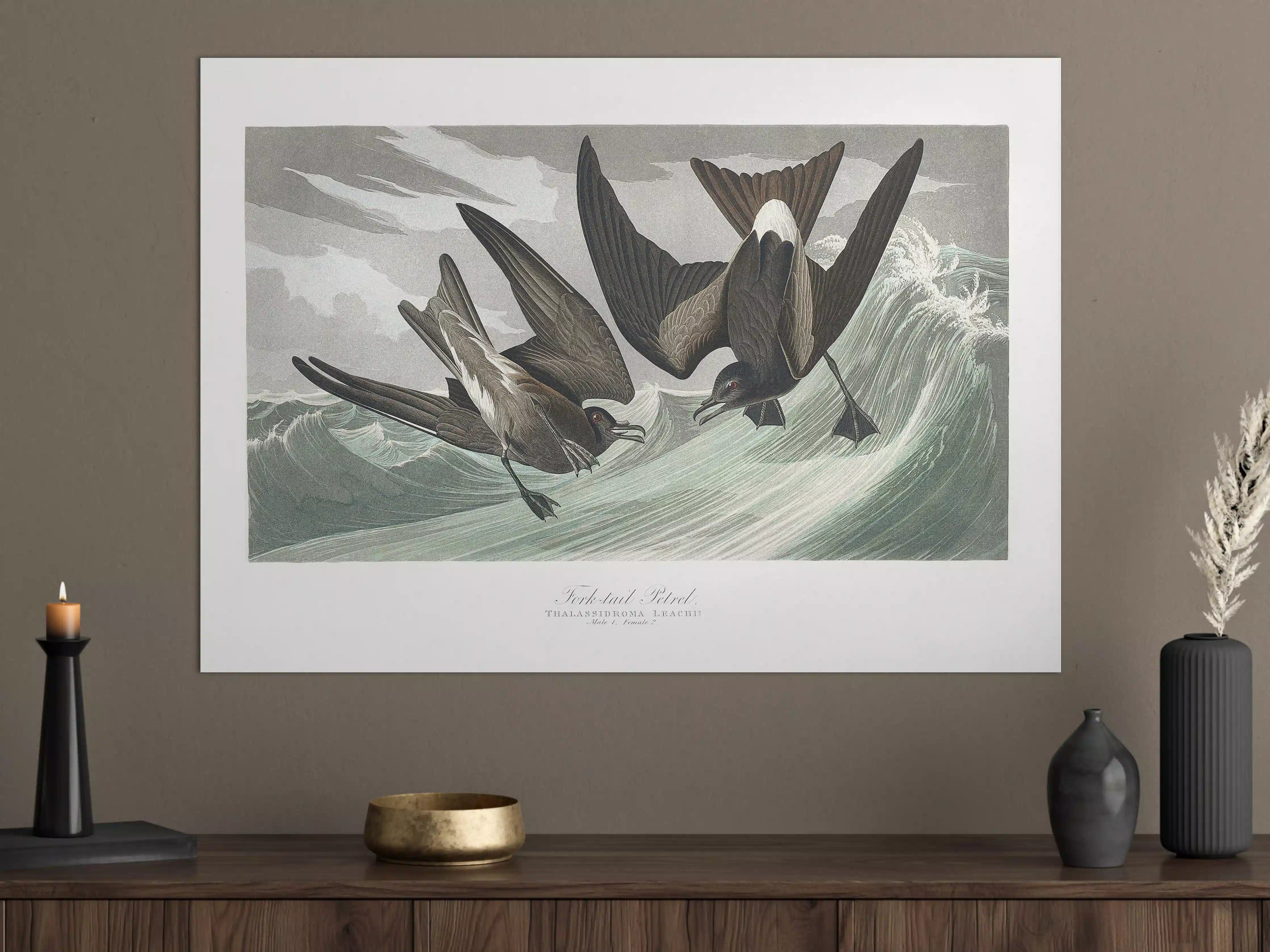 Große Wandbilder - Vögel mitten im Meer - Robert Havell