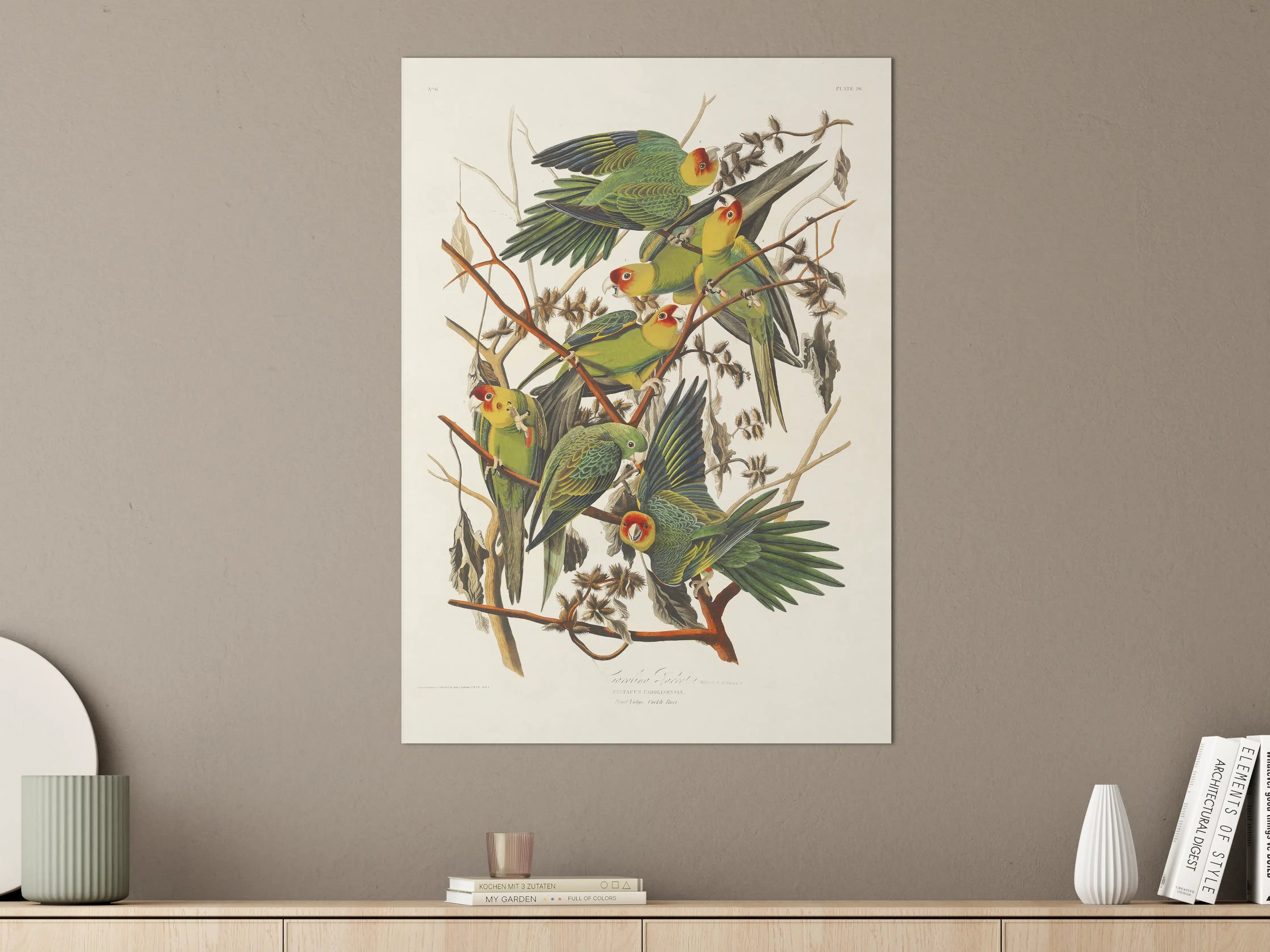 Große Wandbilder - Vogel Portait - Robert Havell