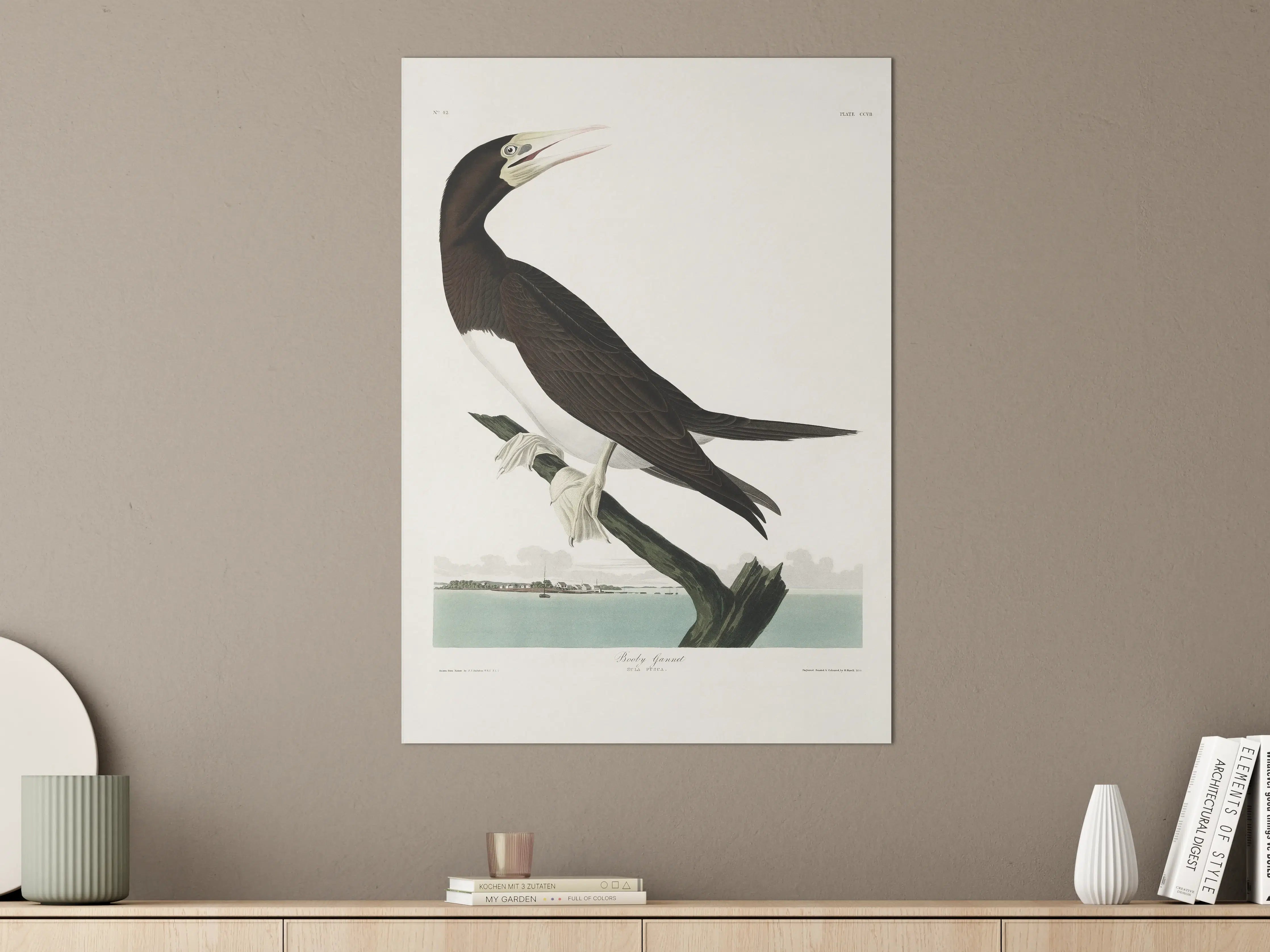 Große Wandbilder - Vogel Portrait - Robert Havel