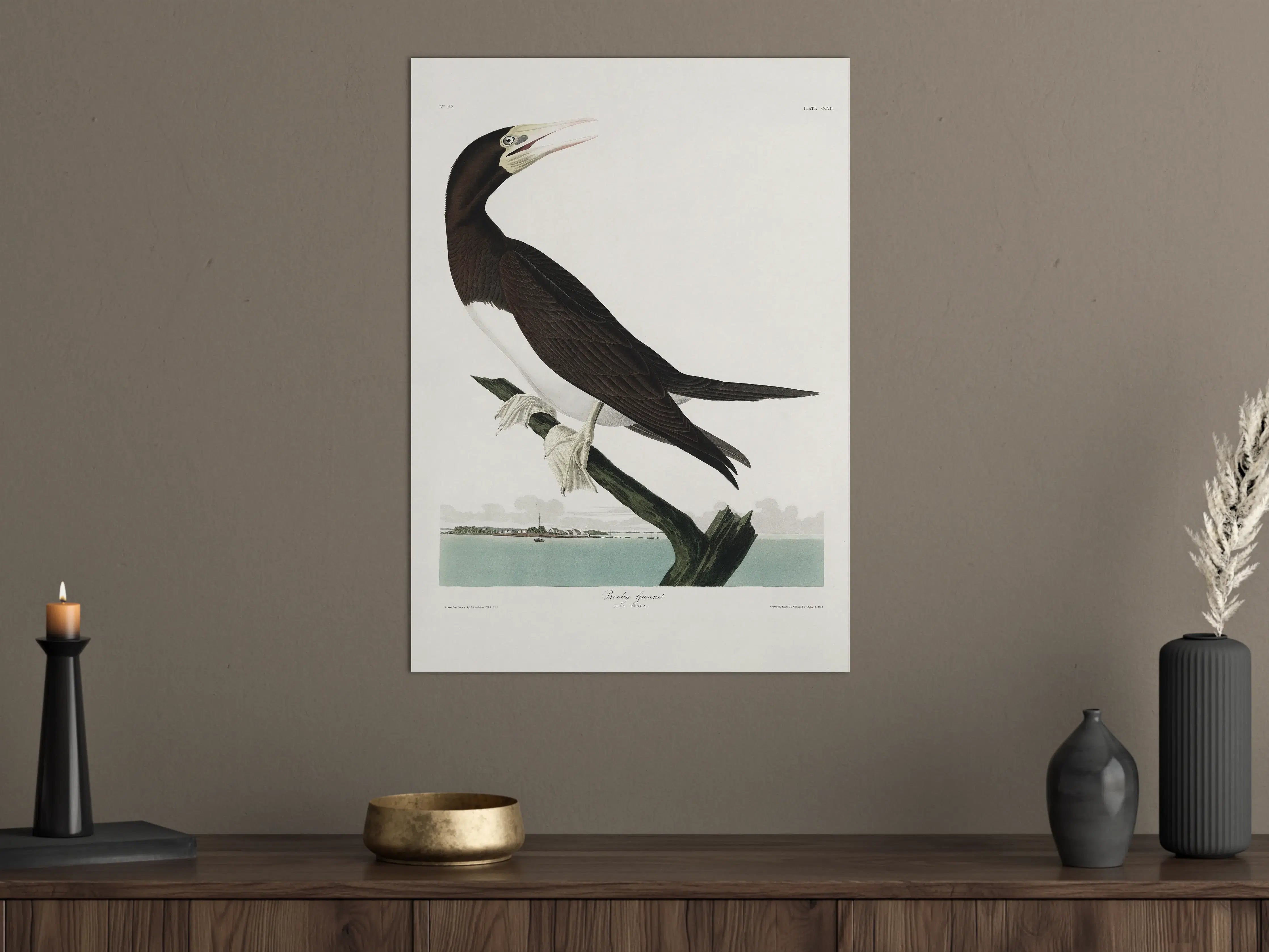 Große Wandbilder - Vogel Portrait - Robert Havel