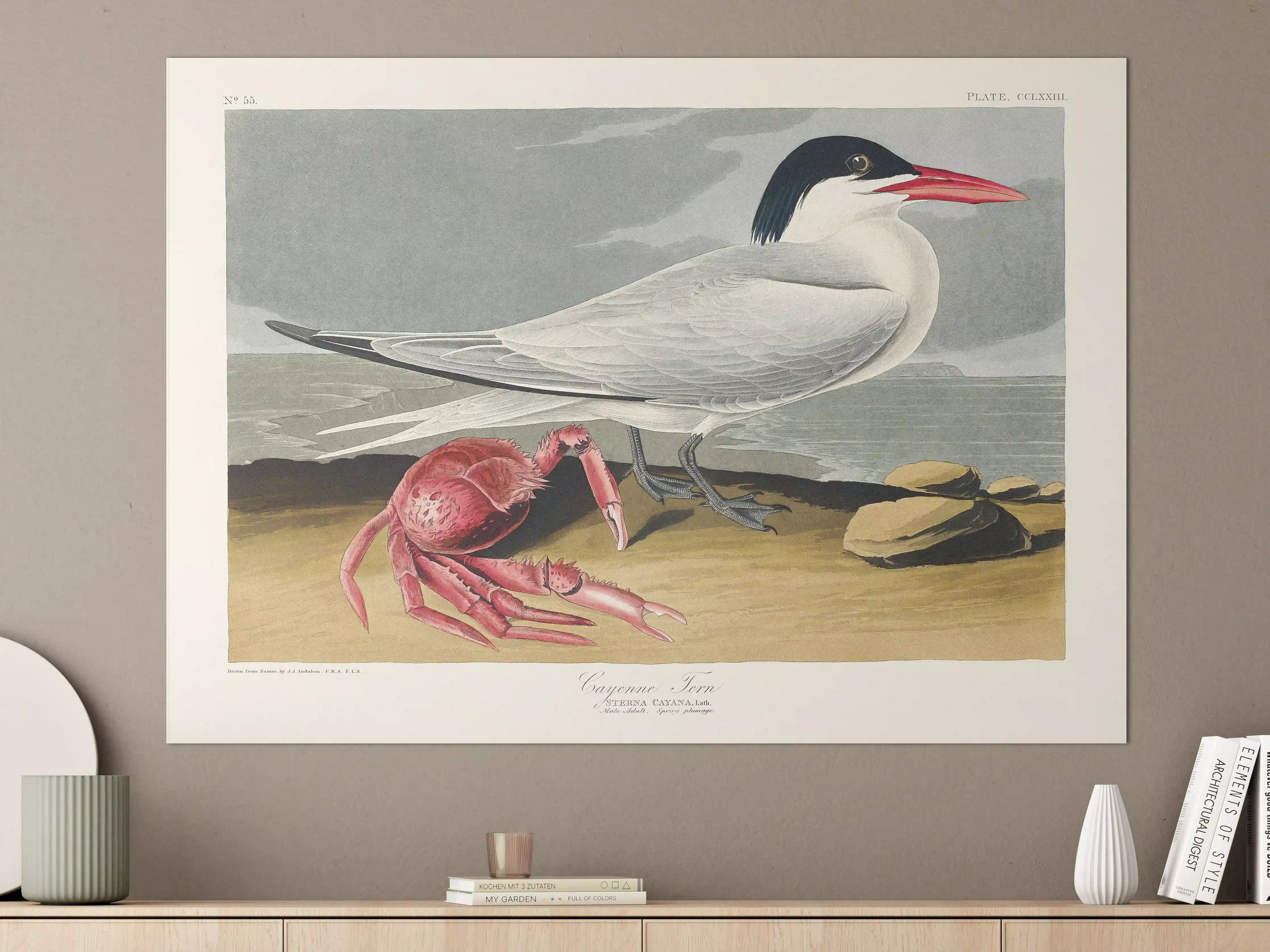 Große Wandbilder - Vogel Portrait - Robert Havell